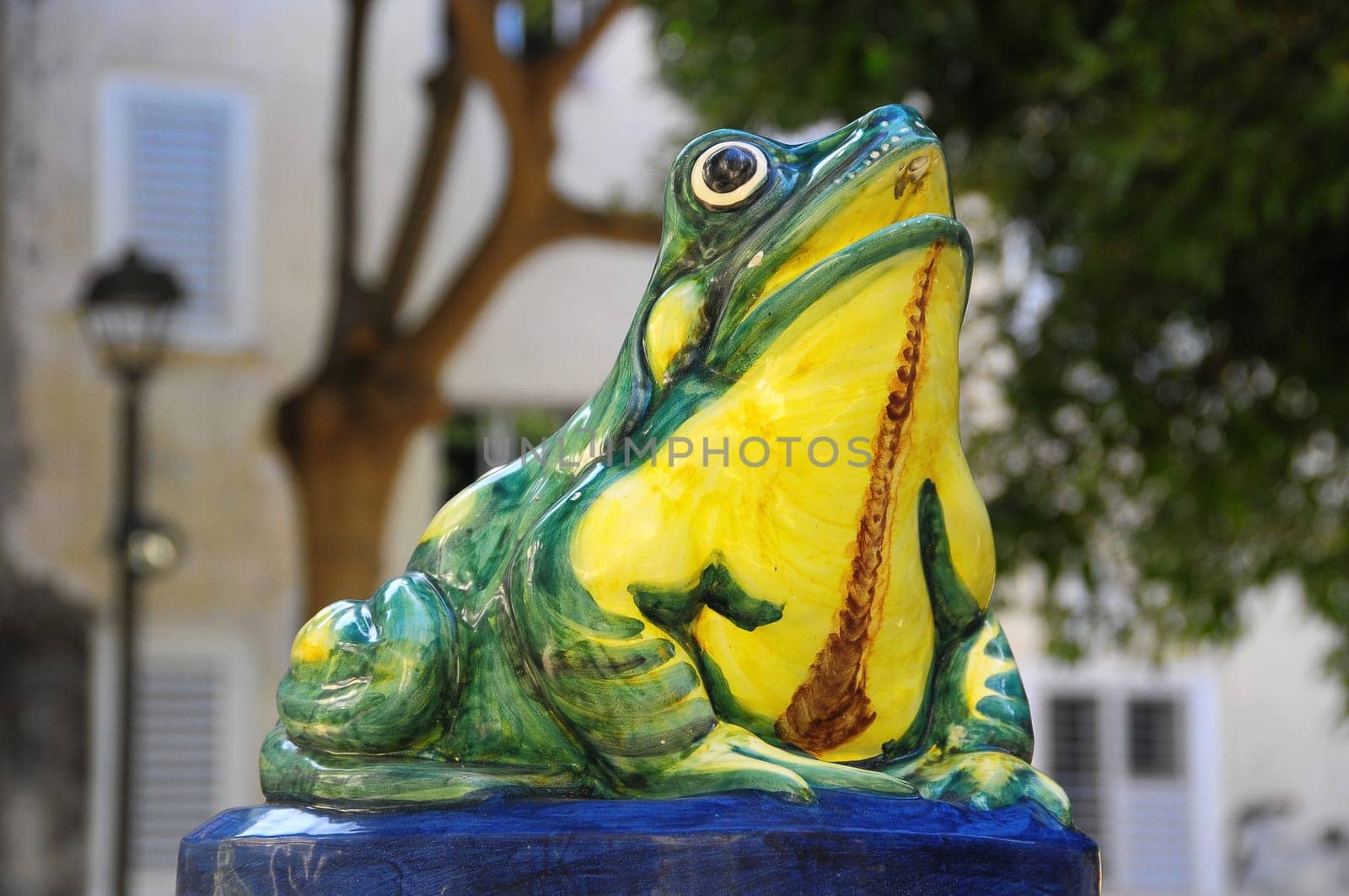 Green Fountain Frog on an Urban Garden