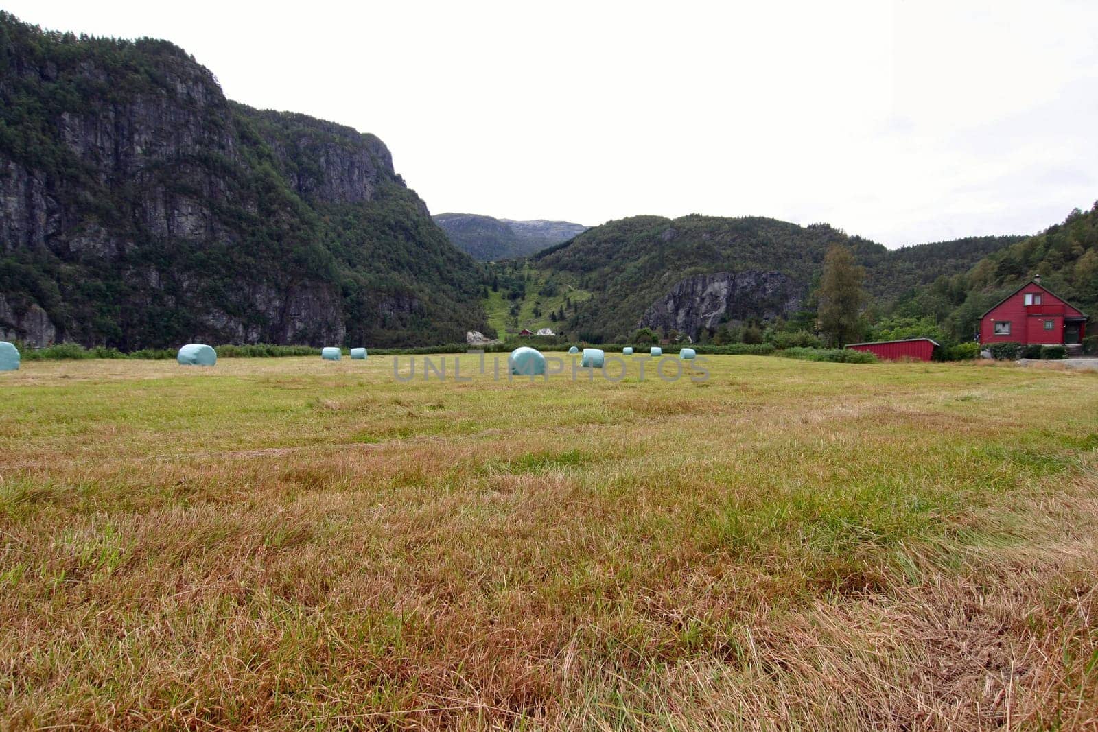 Norway hay harvest