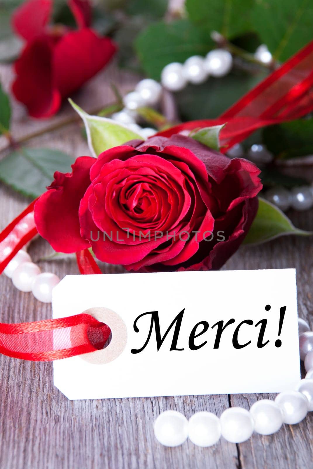 Background with Rose and Pearls and the French Word Merci which means Thanks