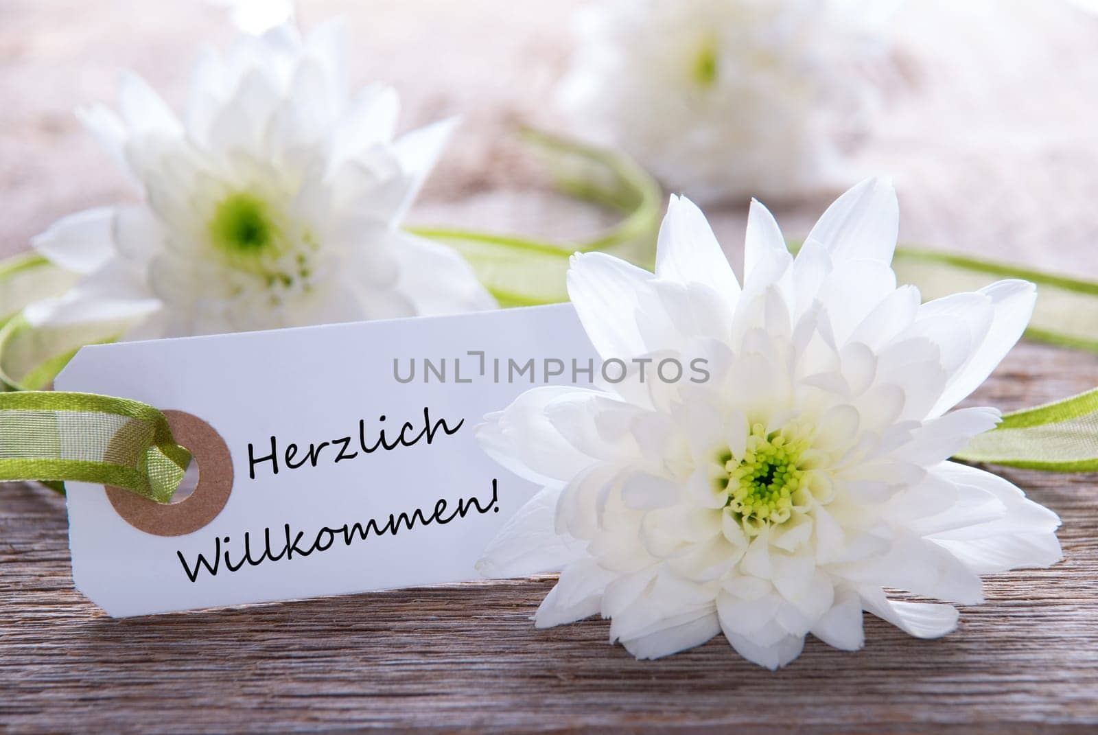 White Label with the German Words Herzlich Willkommen which means Welcome