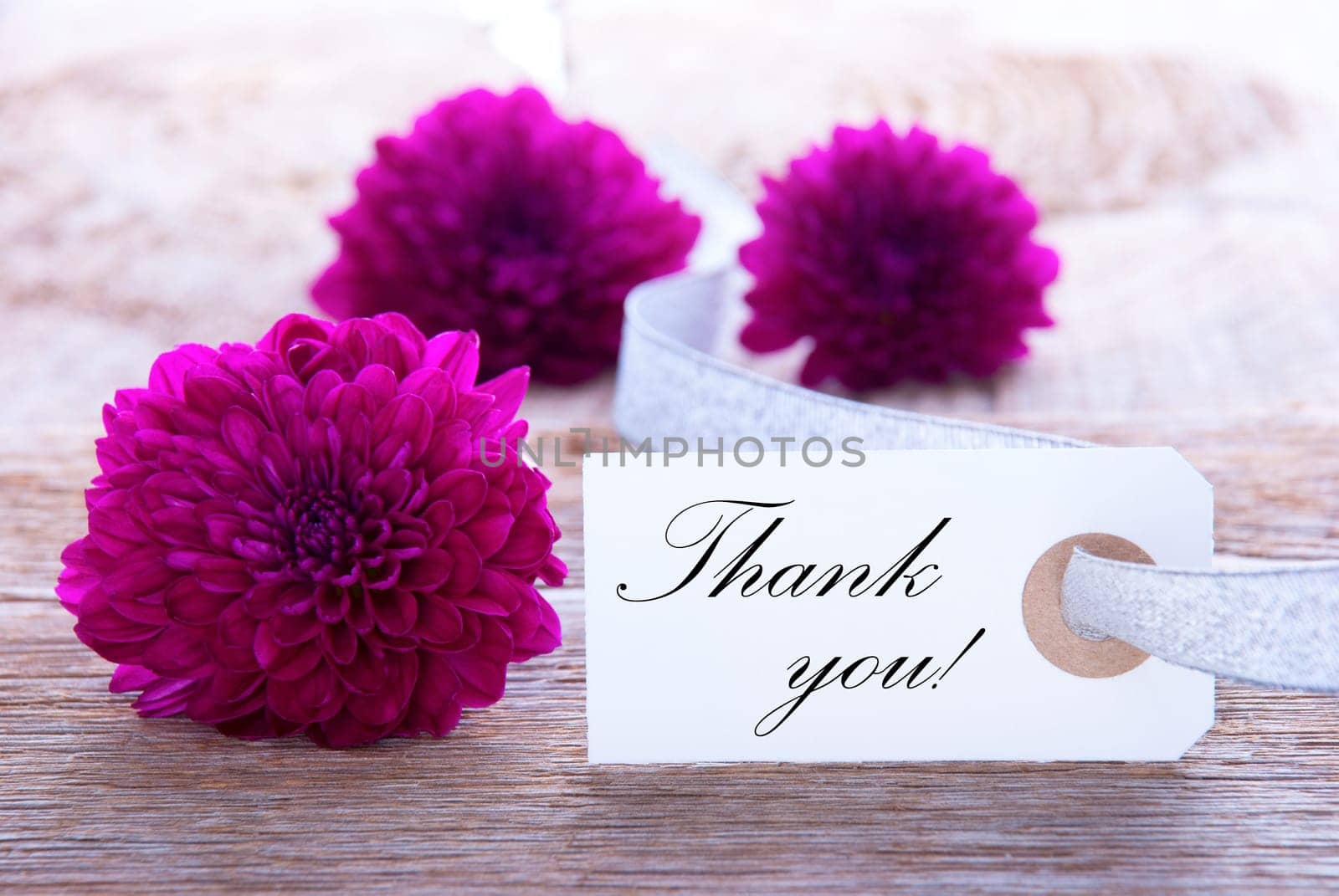 Label with Thank You and Purple Blossoms