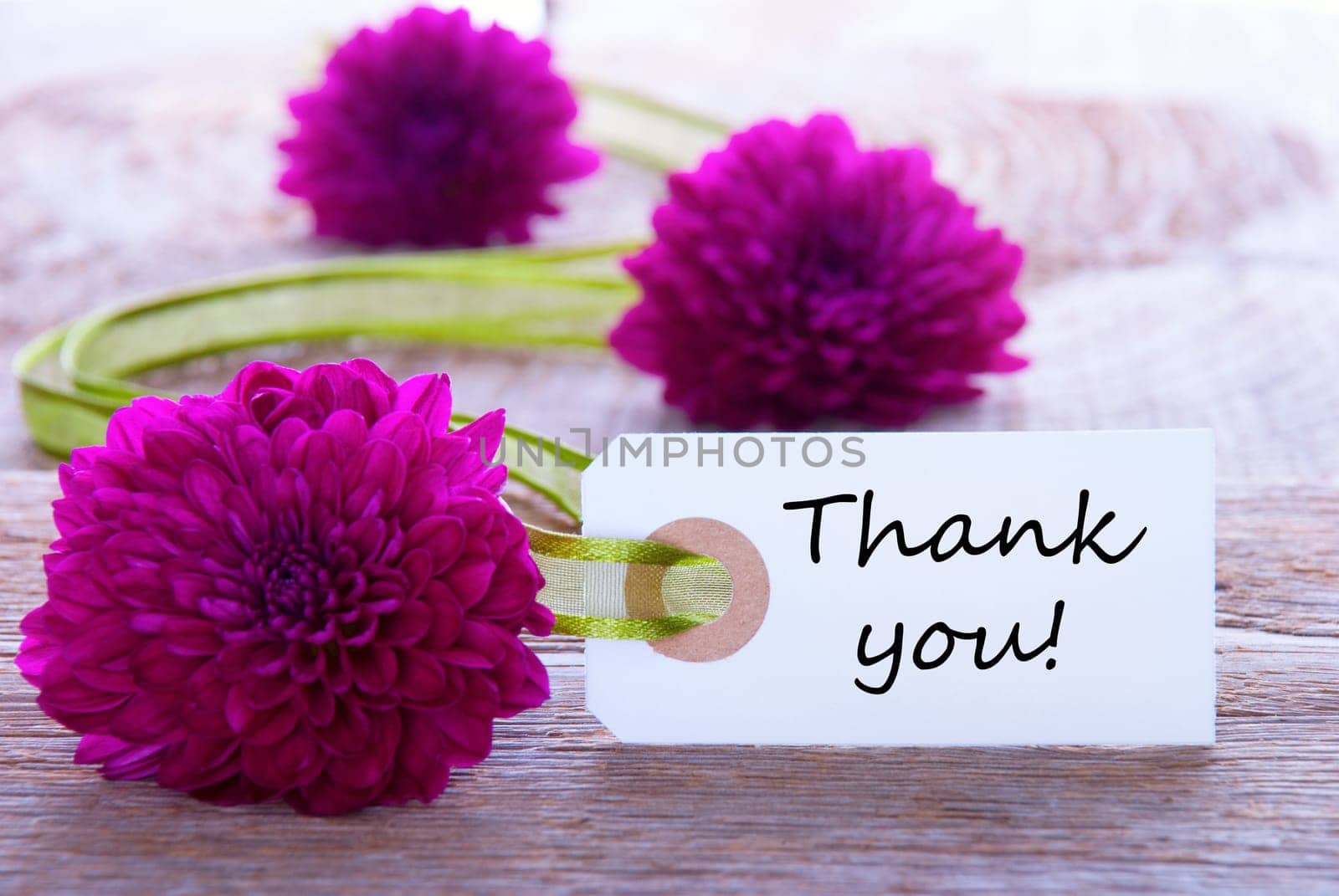 Label with Thank You and Purple Flowers and Green Ribbon