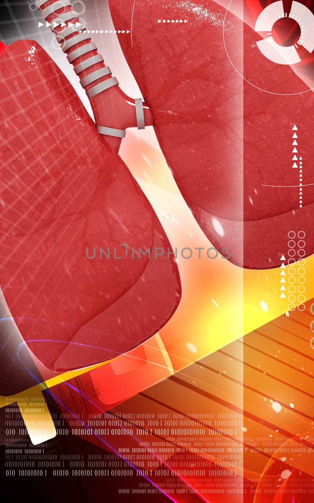 Digital illustration of human lungs in colour background