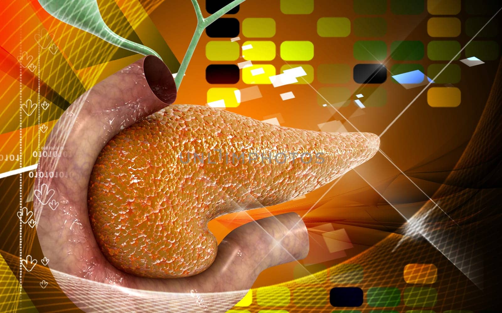 Digital illustration of pancreas in colour background