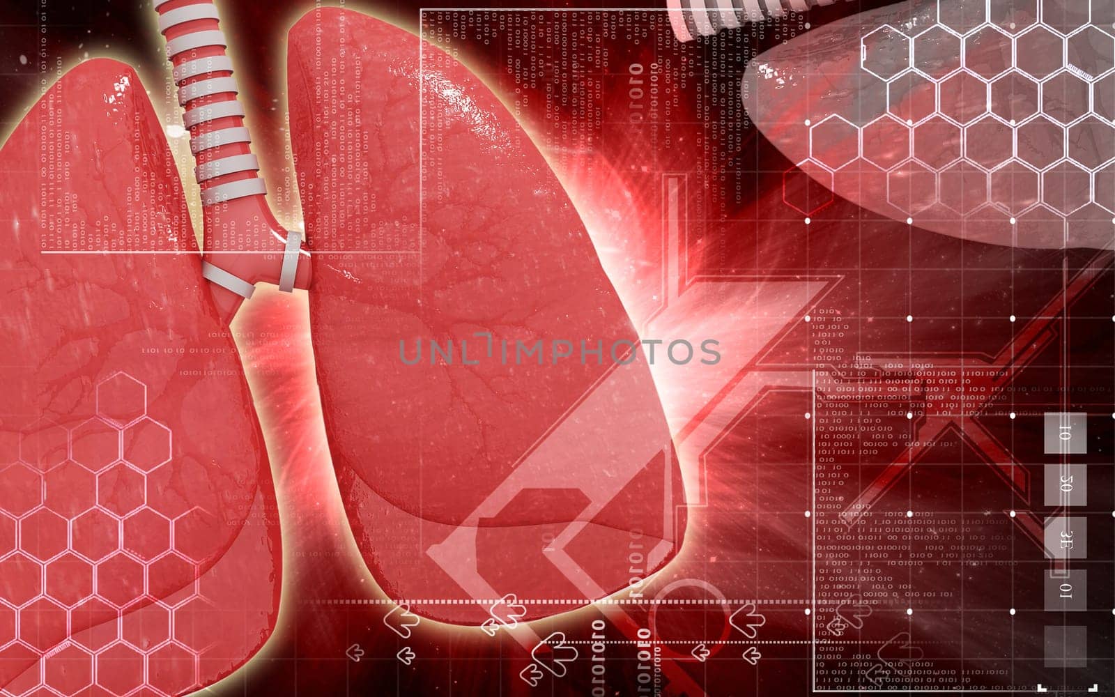 Digital illustration of human lungs in colour background