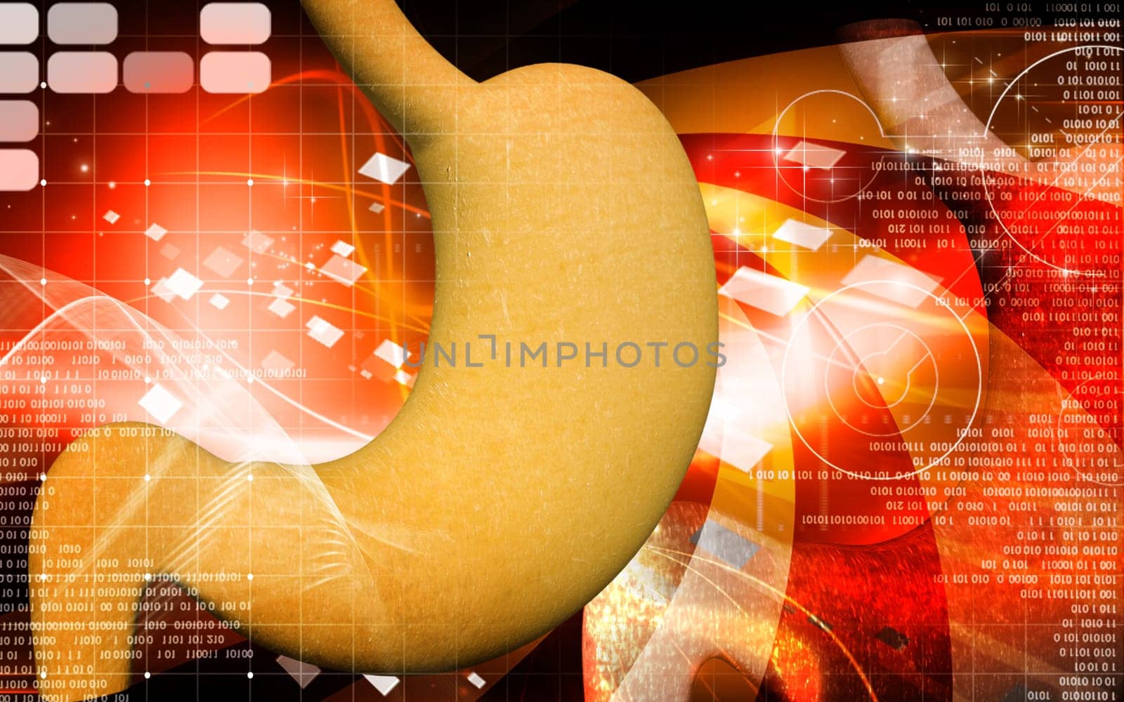 Digital illustration of stomach in colour background