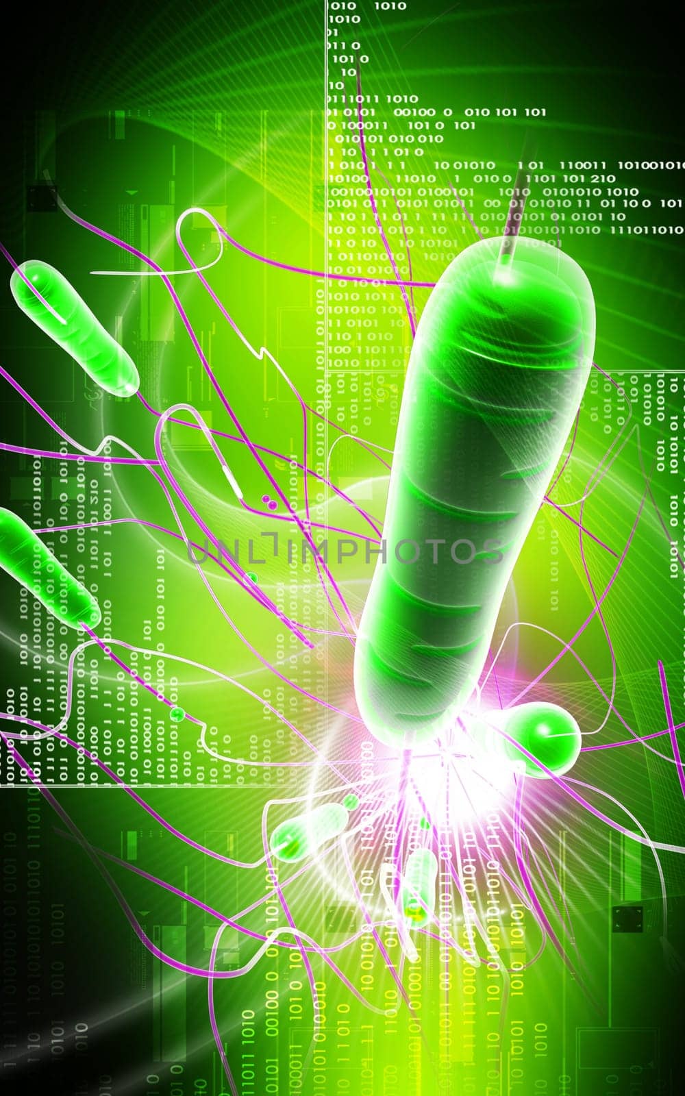 Digital illustration of cholera bacteria in colour background