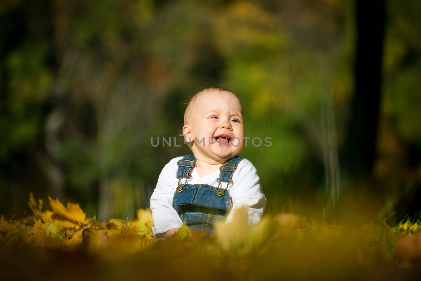 Beautiful happy baby in autumn nature - sitting in leaves