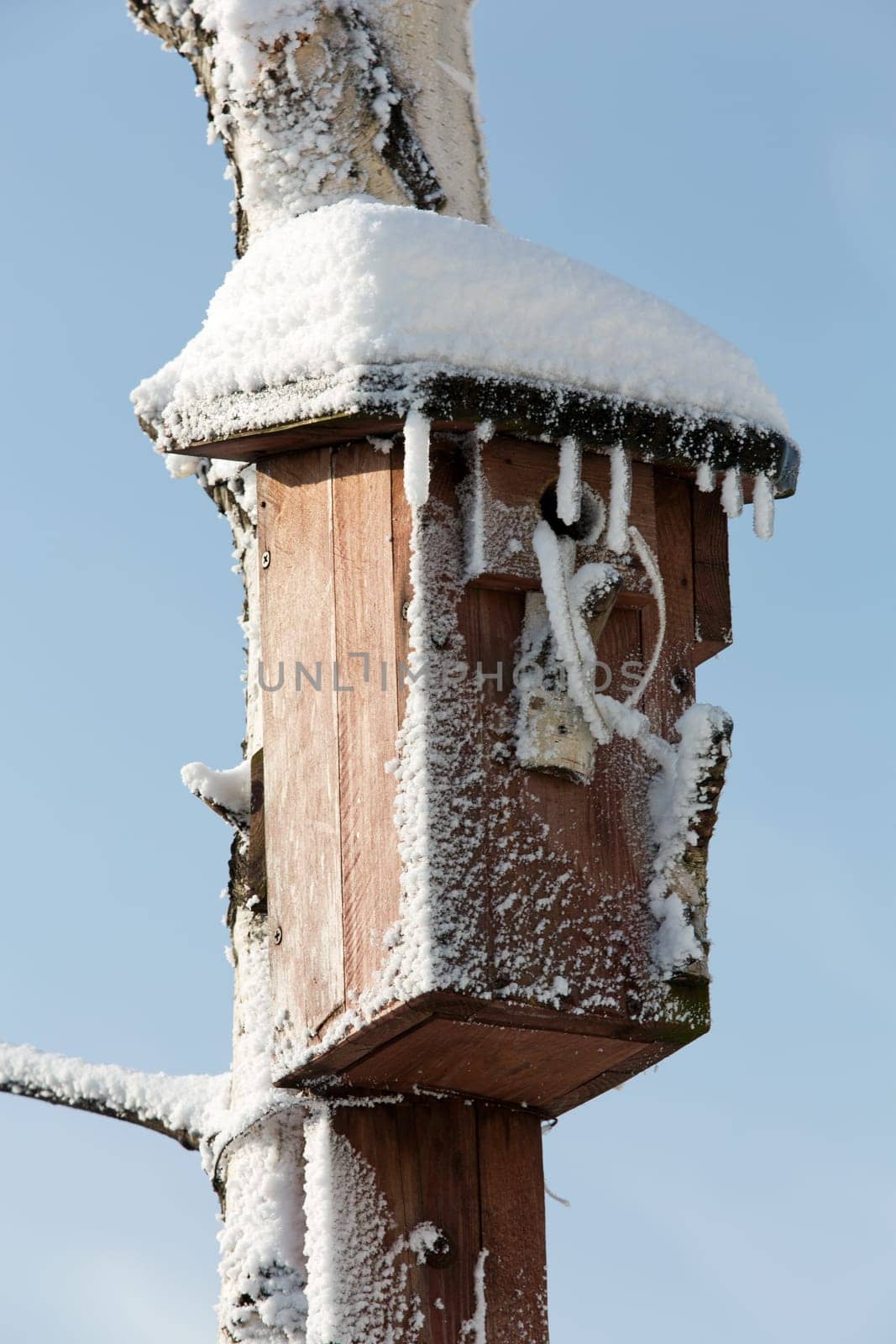 the winter-impression into the frosty day