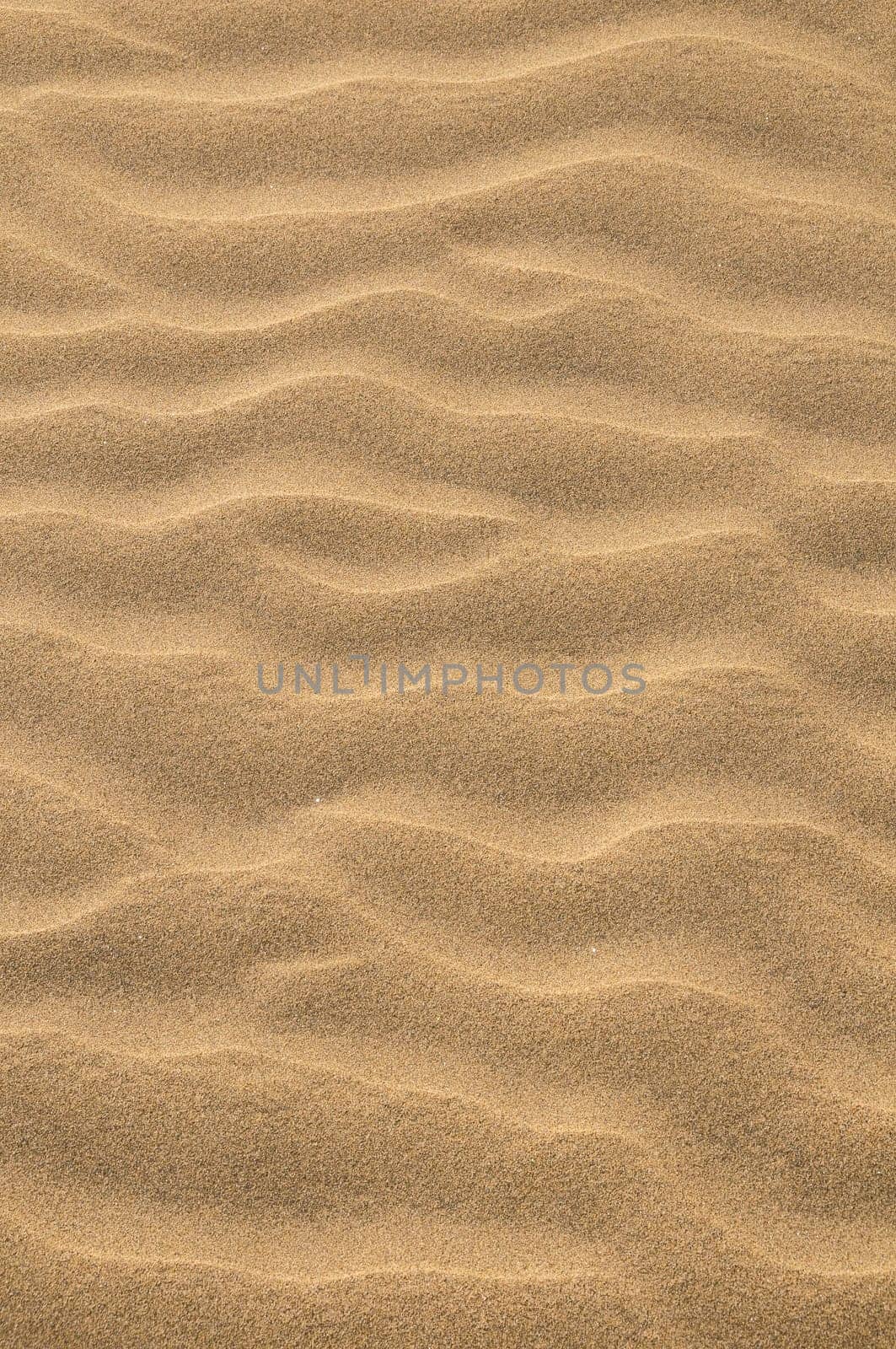 Texture Sand Dune Desert in Gran Canaria Island Spain