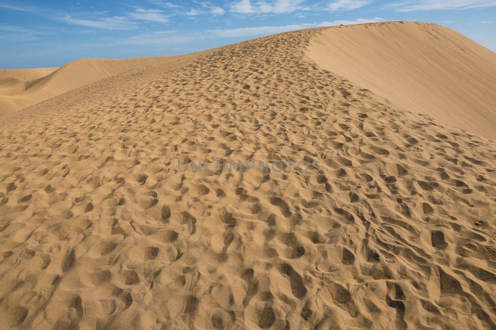 Texture Sand Dune Desert in Gran Canaria Island Spain