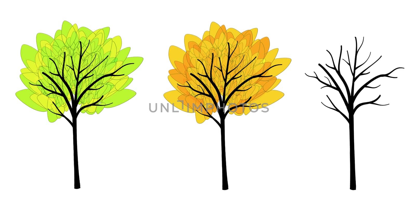 different seasons trees isolated on white