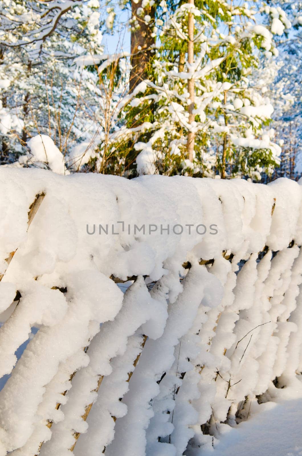 Wooden fence covered with snow