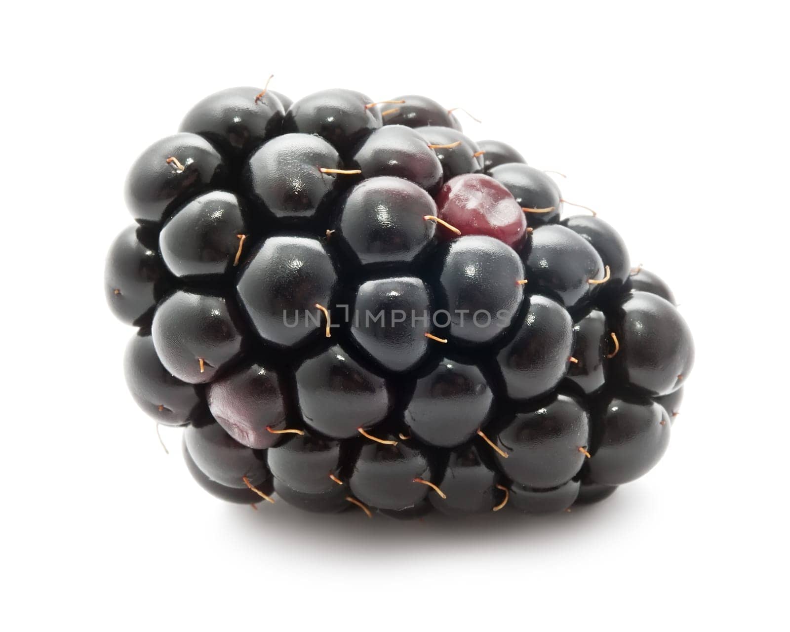 Ripe fresh blackberry isolated on white background