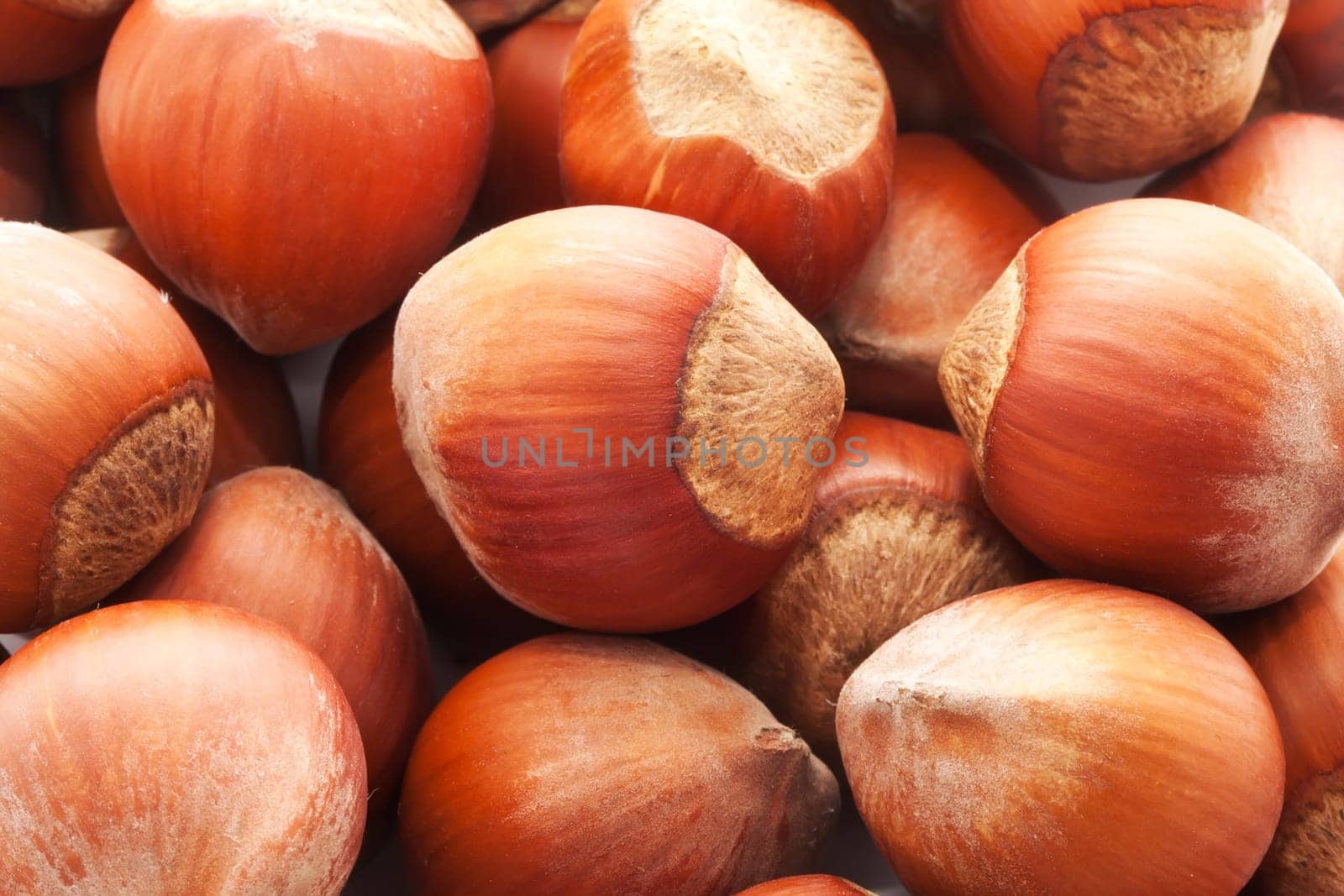 Heap of hazelnuts, filbert nuts making background