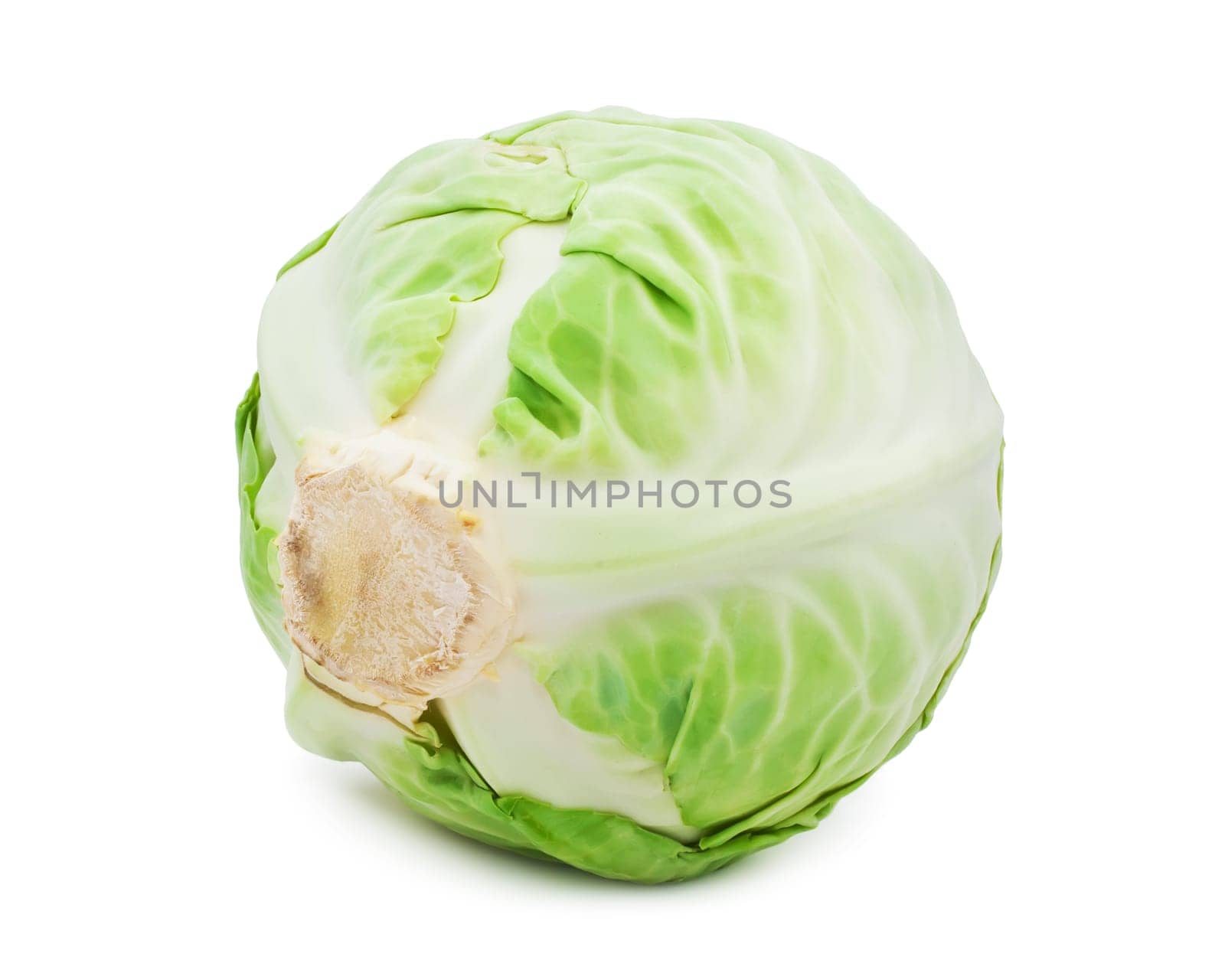 Whole green cabbage isolated on white background