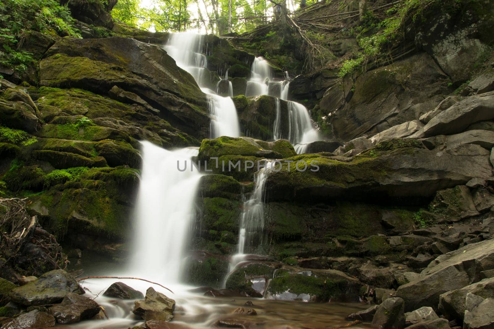 River flows in the forest