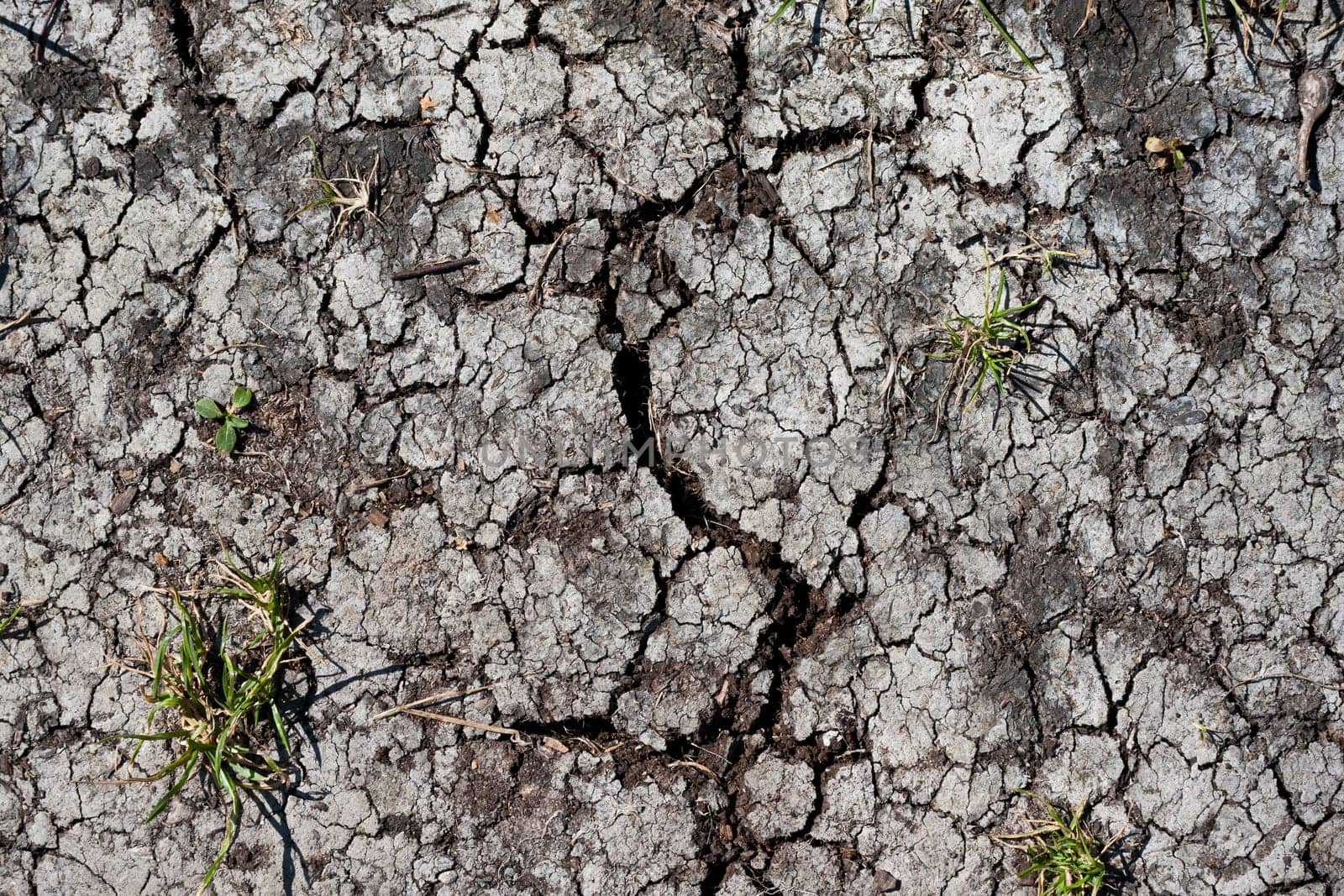 Land with dry cracked ground texture background