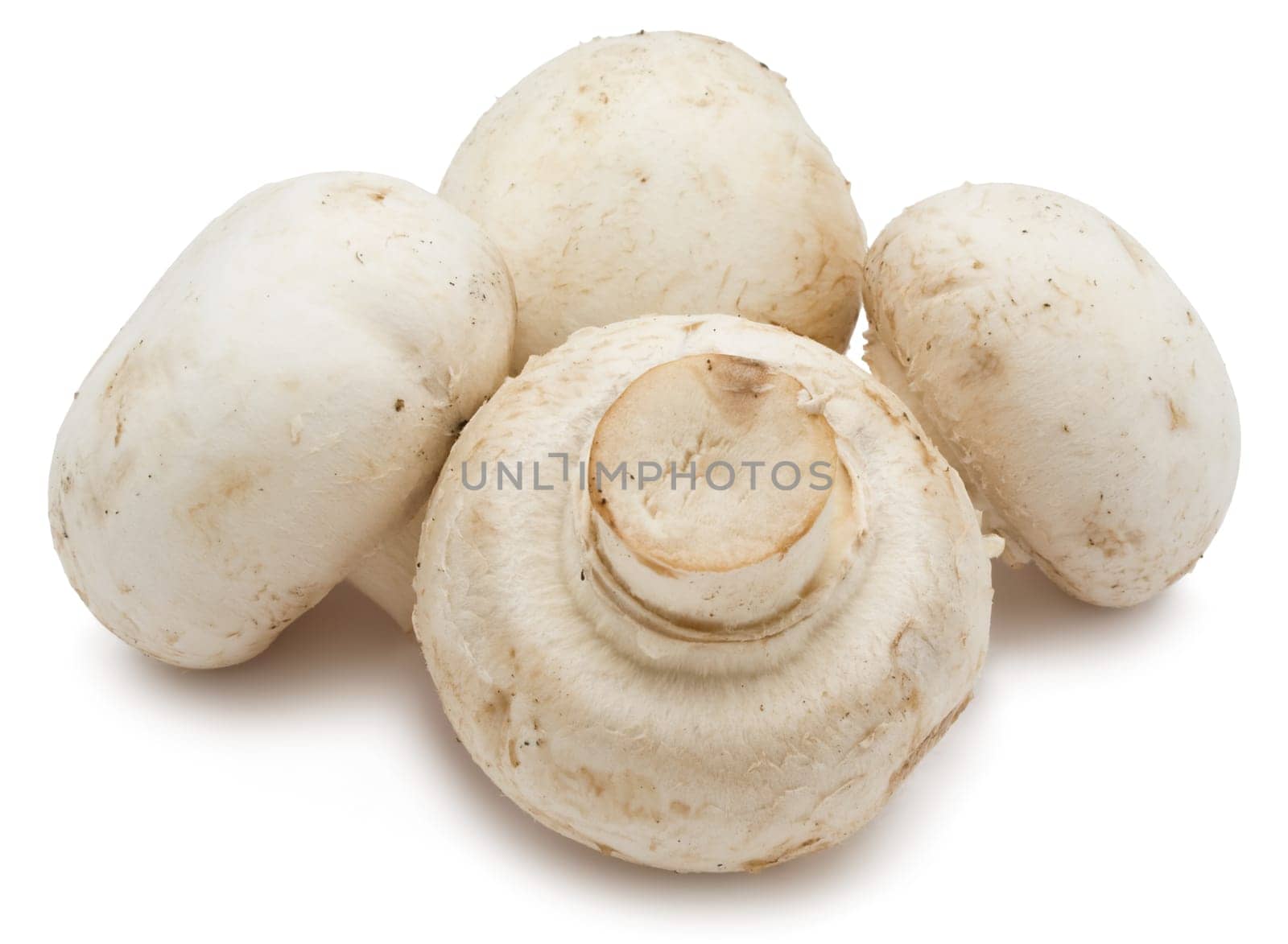 Fresh champignon mushrooms isolated on white background