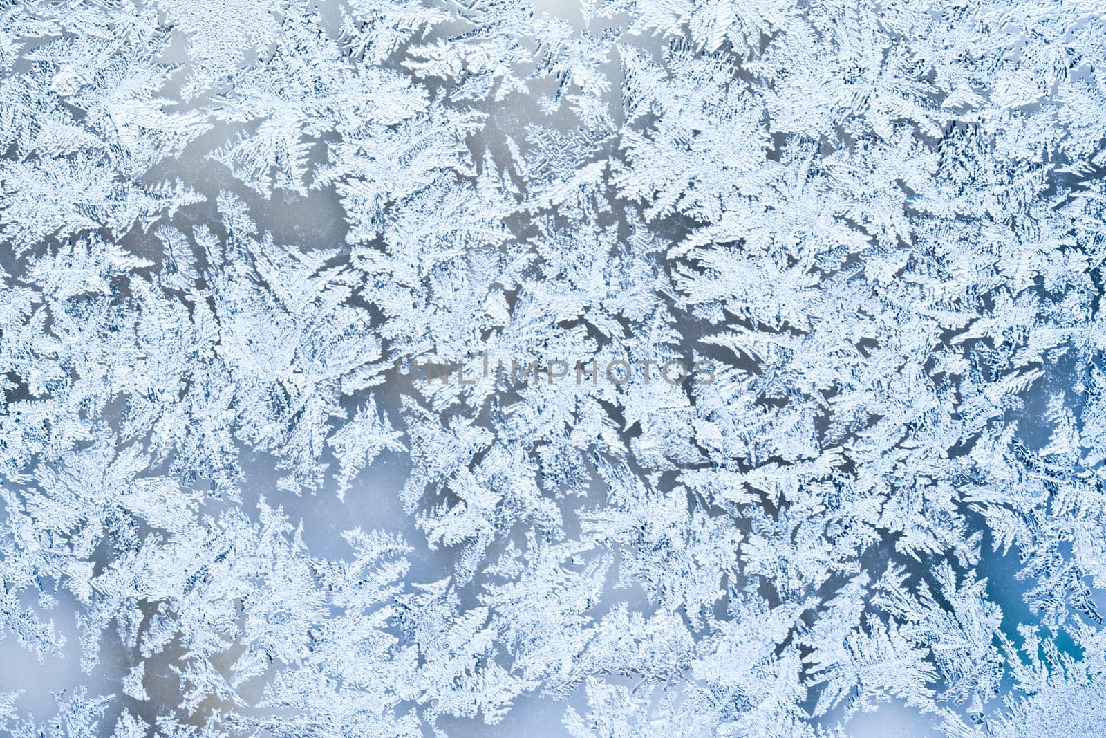 Beautiful pattern of frost on  winter window