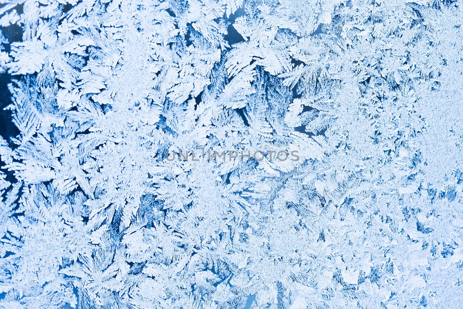 Beautiful pattern of frost on  winter window