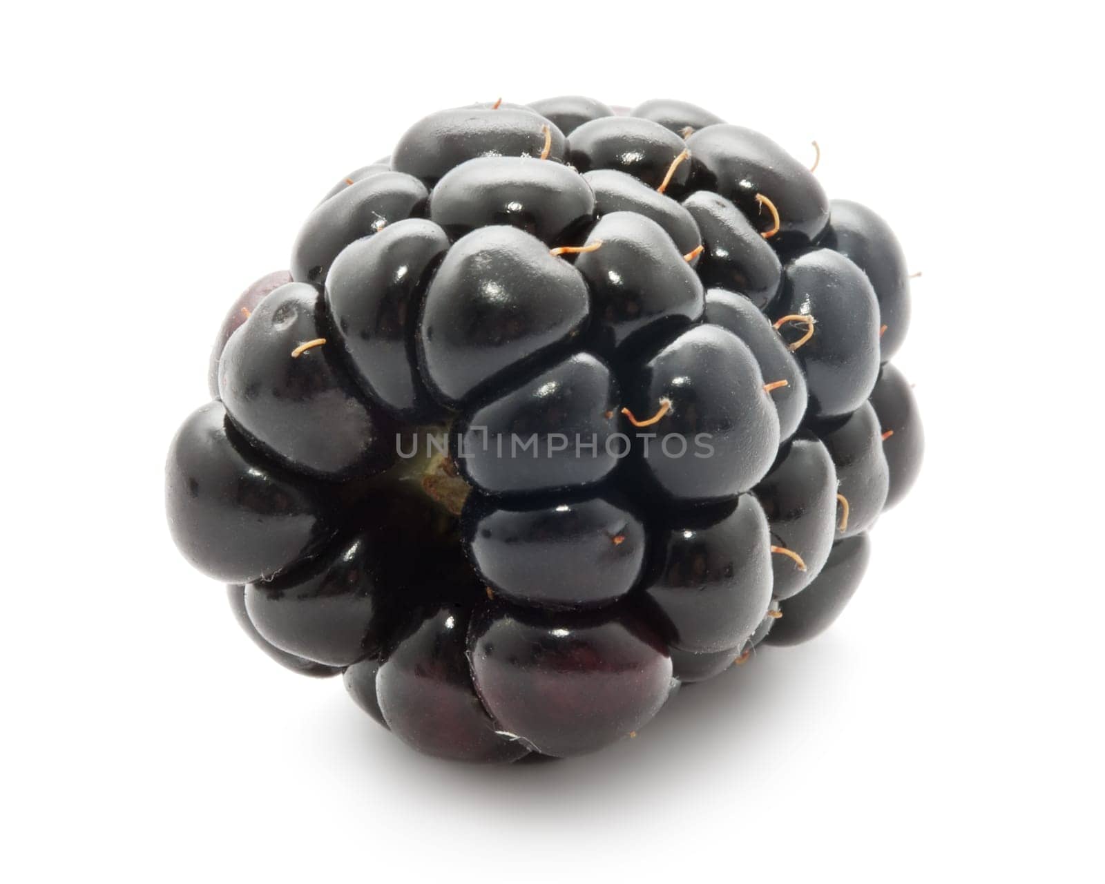 Ripe fresh blackberry isolated on white background