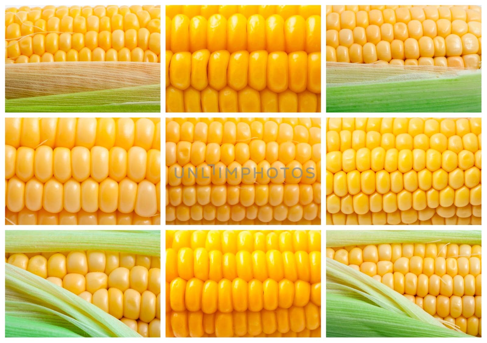 Yellow corn collection
