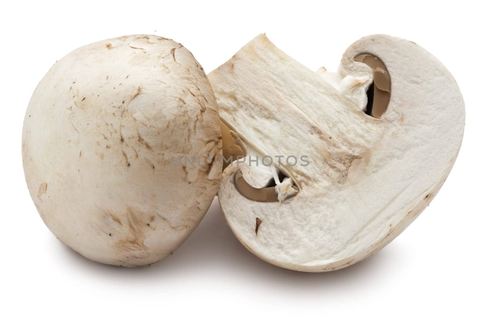 Fresh champignon mushrooms isolated on white background