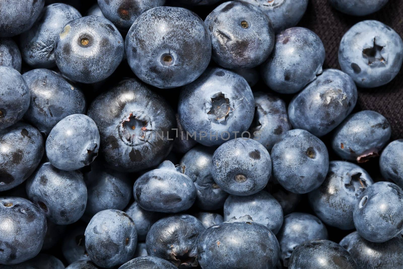 Beautiful organic background made of freshly picked blueberries