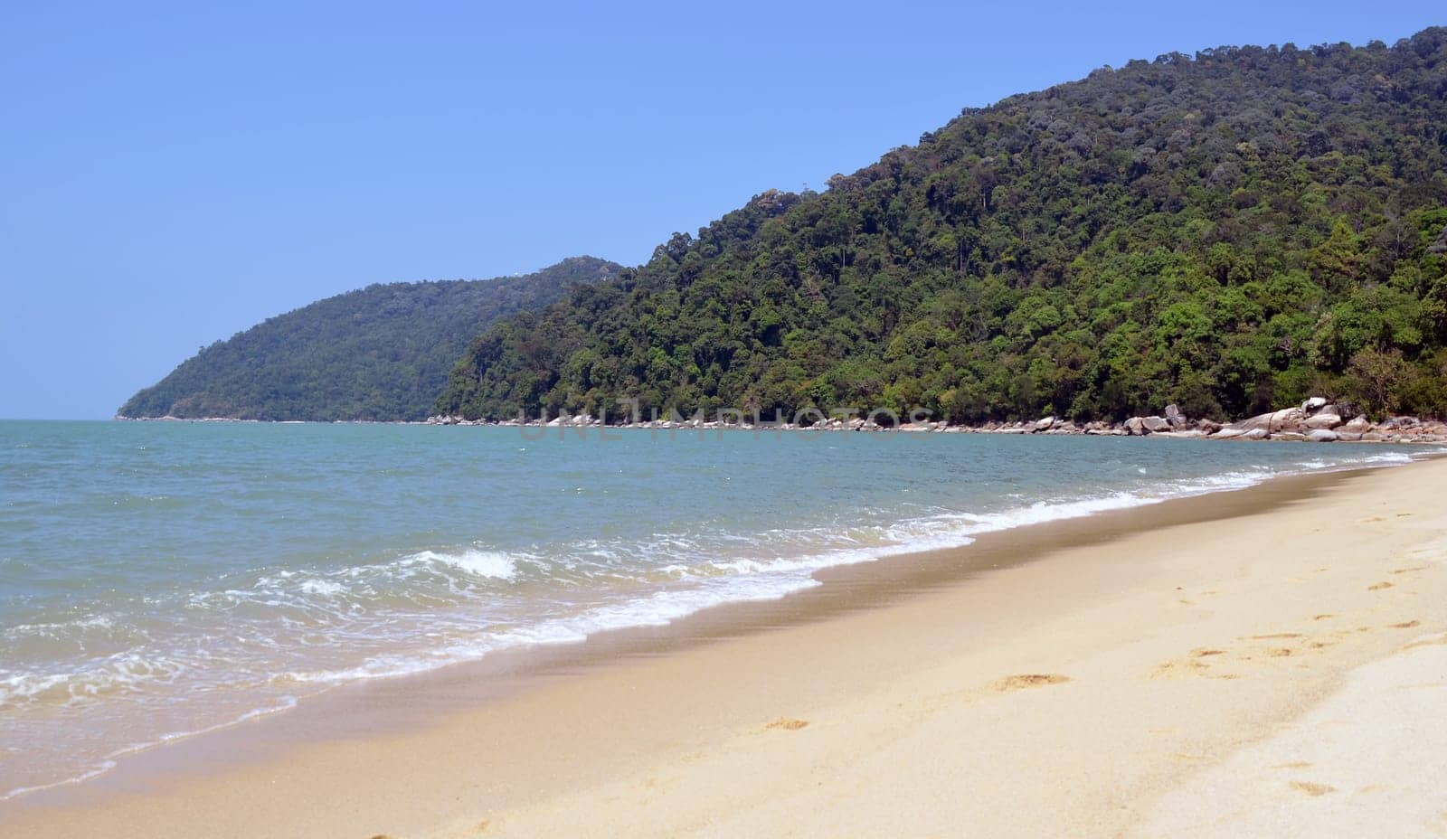 View of National Park in Malaysia