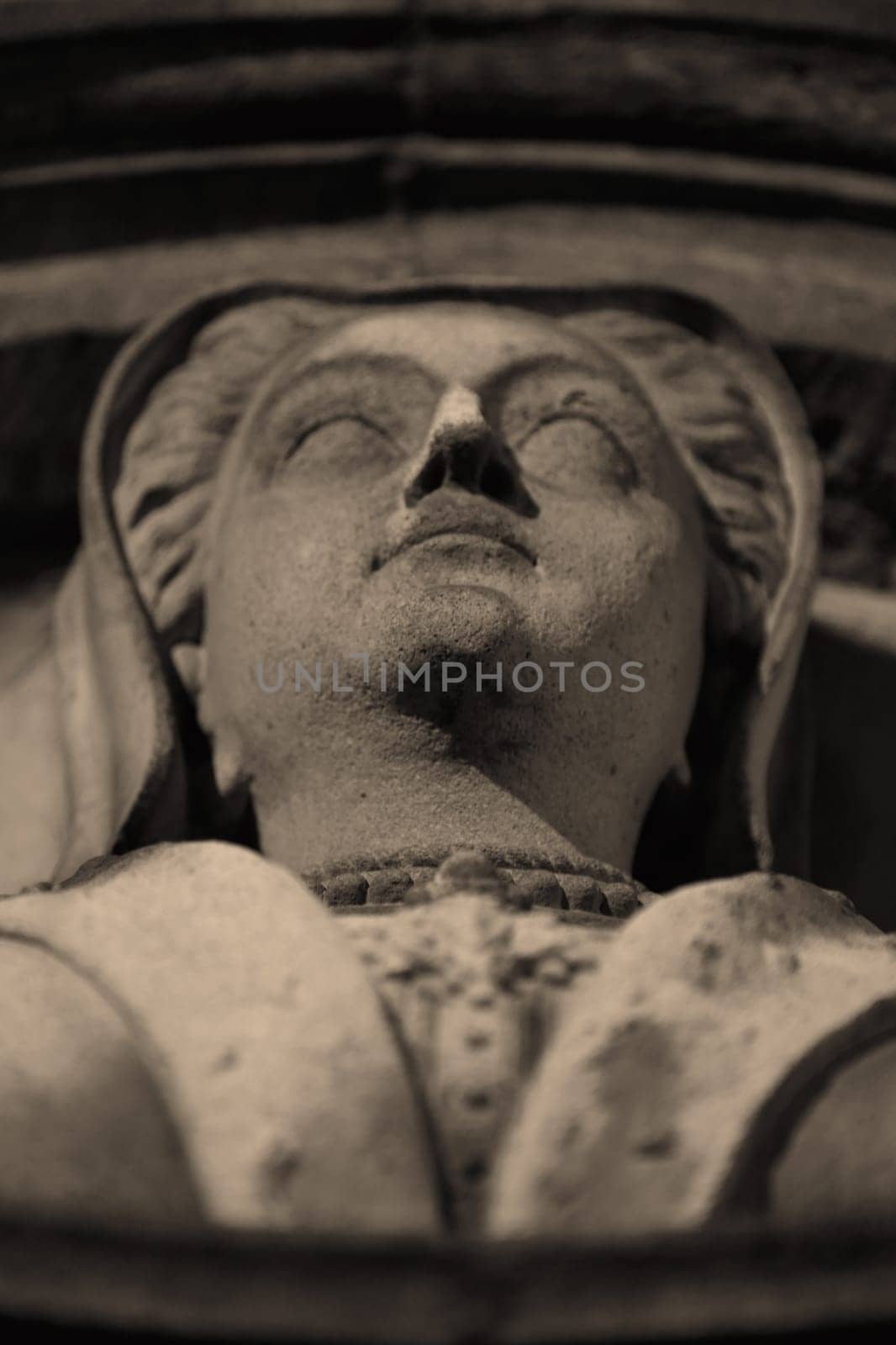 Close-up of a statue in the evening light