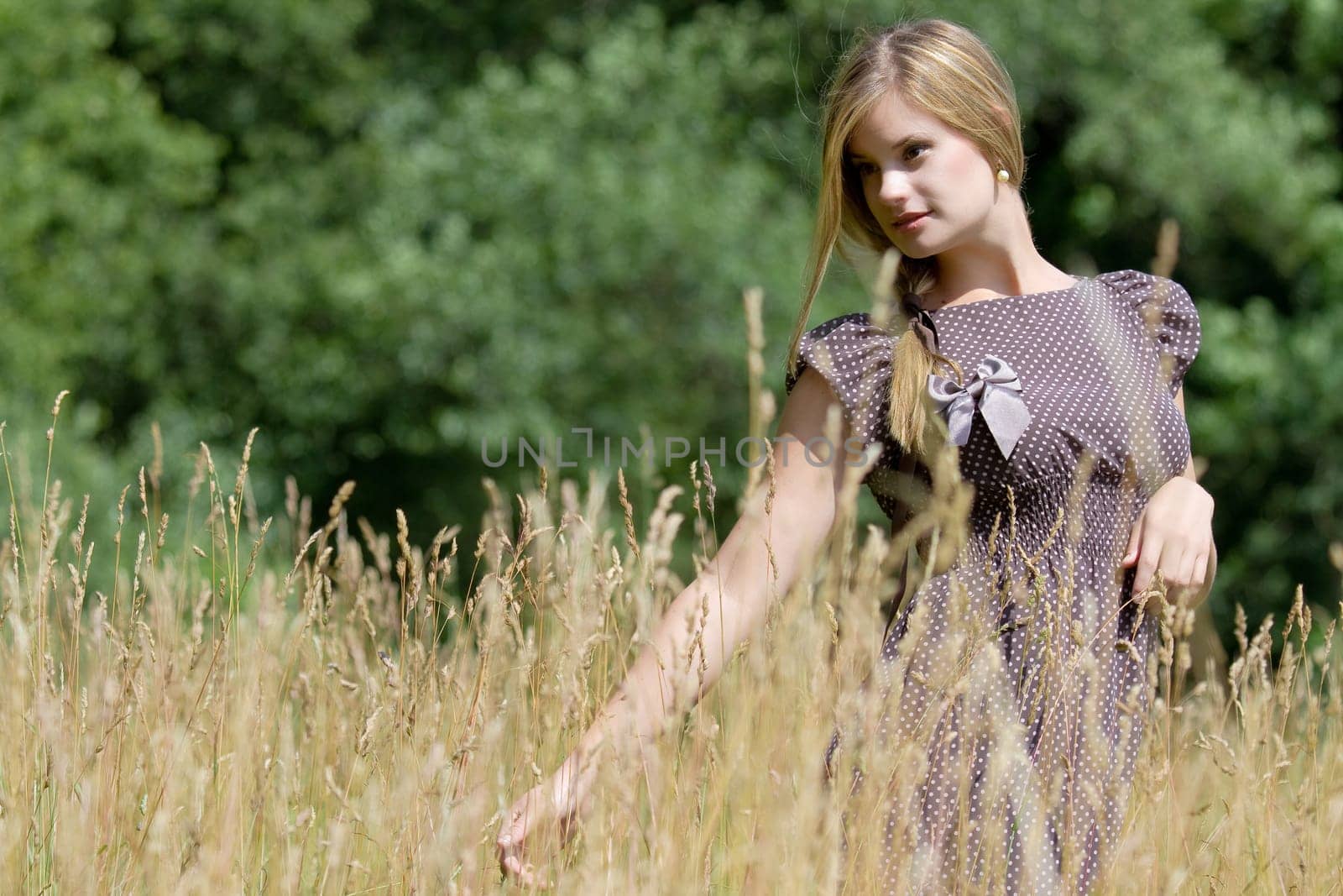 In the meadow
