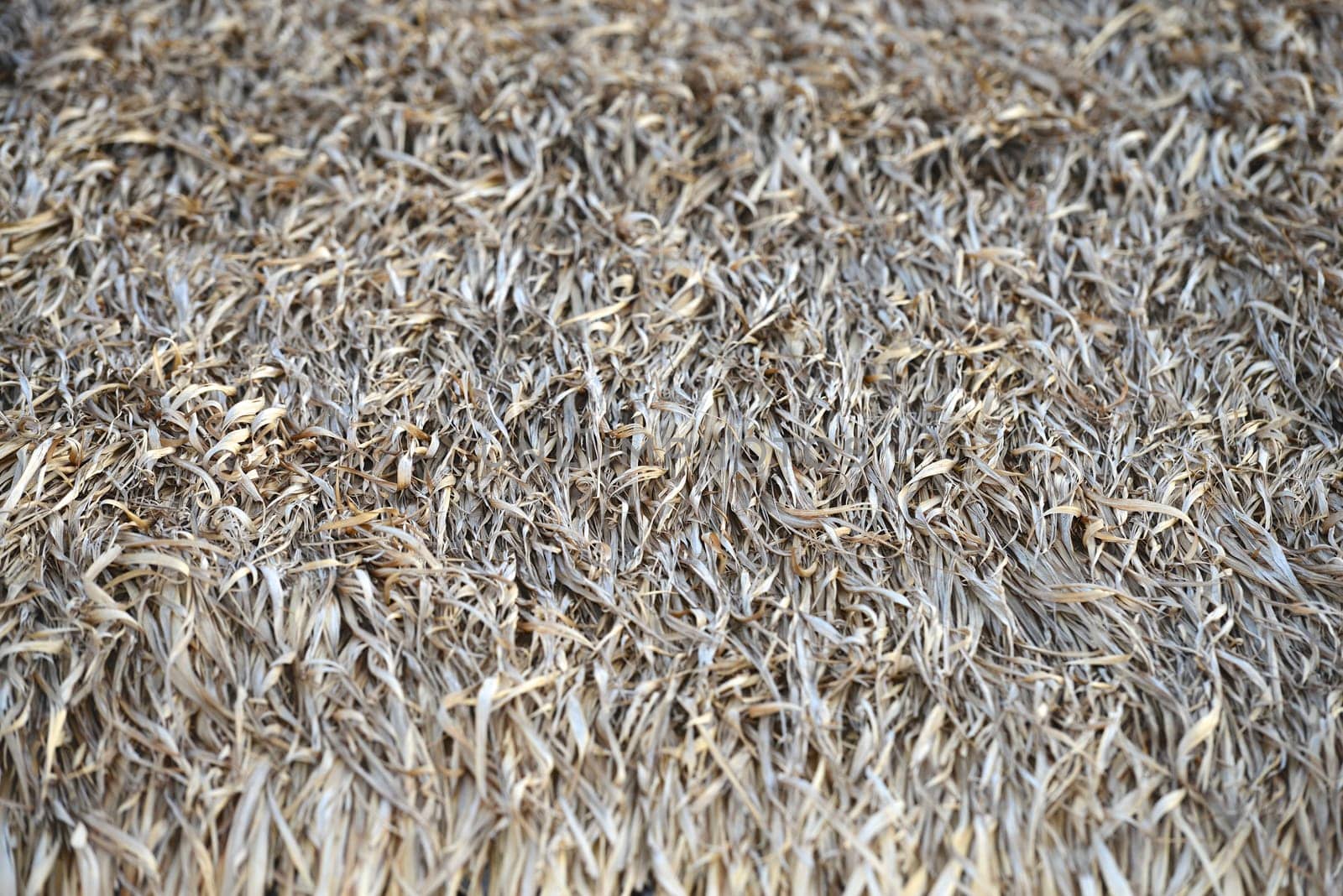straw roof