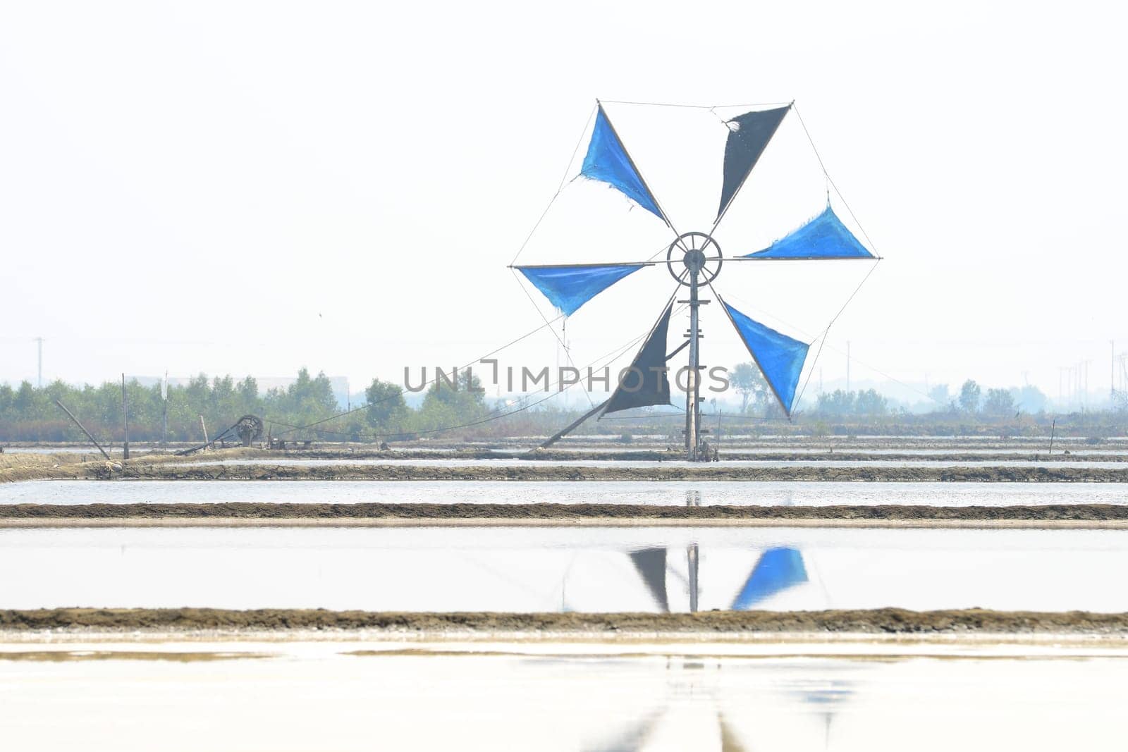 Windmill for agriculture