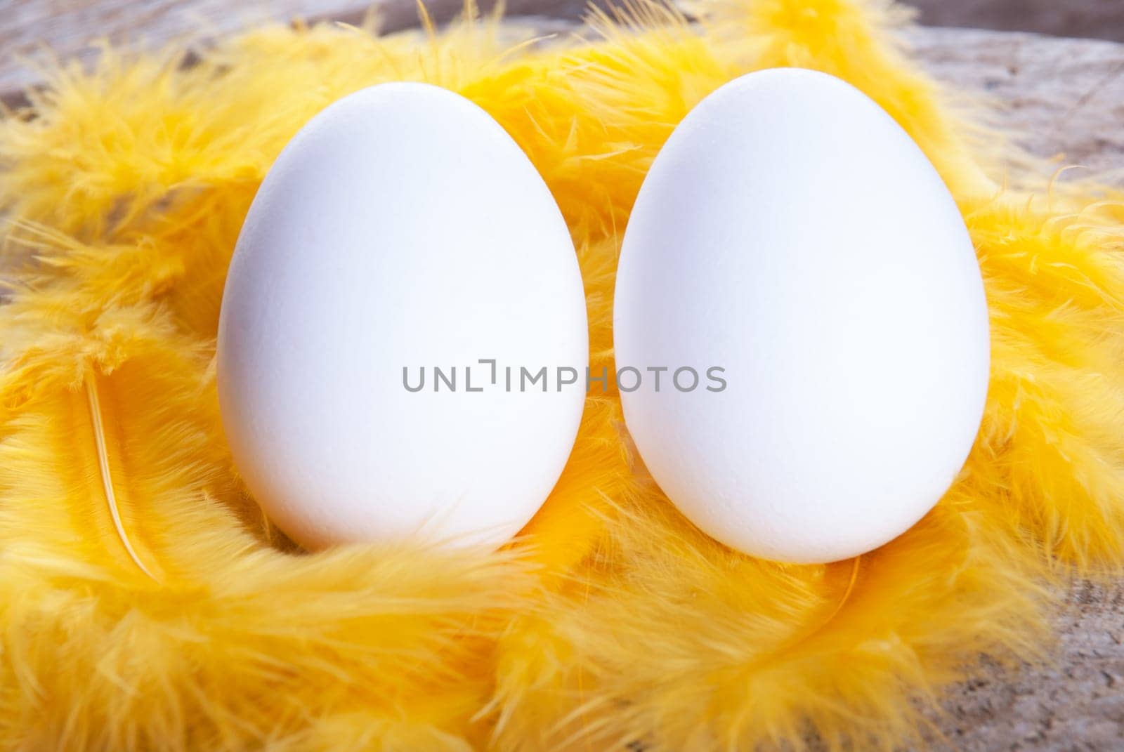 Two Eggs with Yellow Feathers, Easter Background