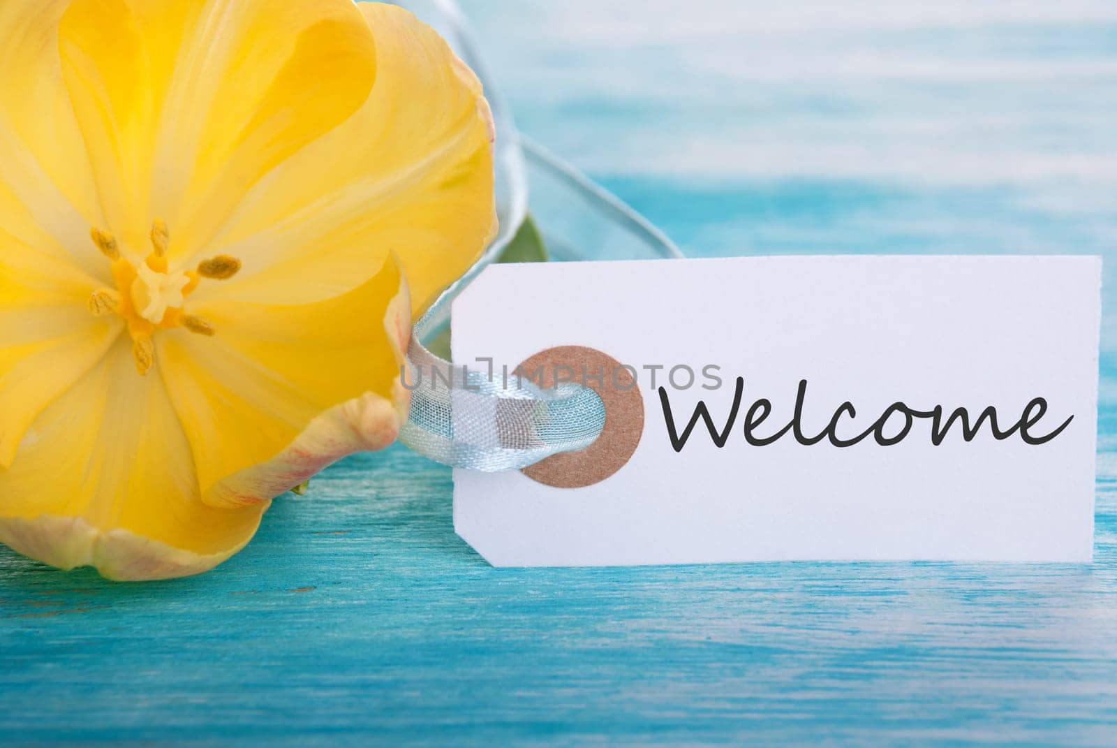 Tag with Welcome on Turquiose Background with Yellow Tulip