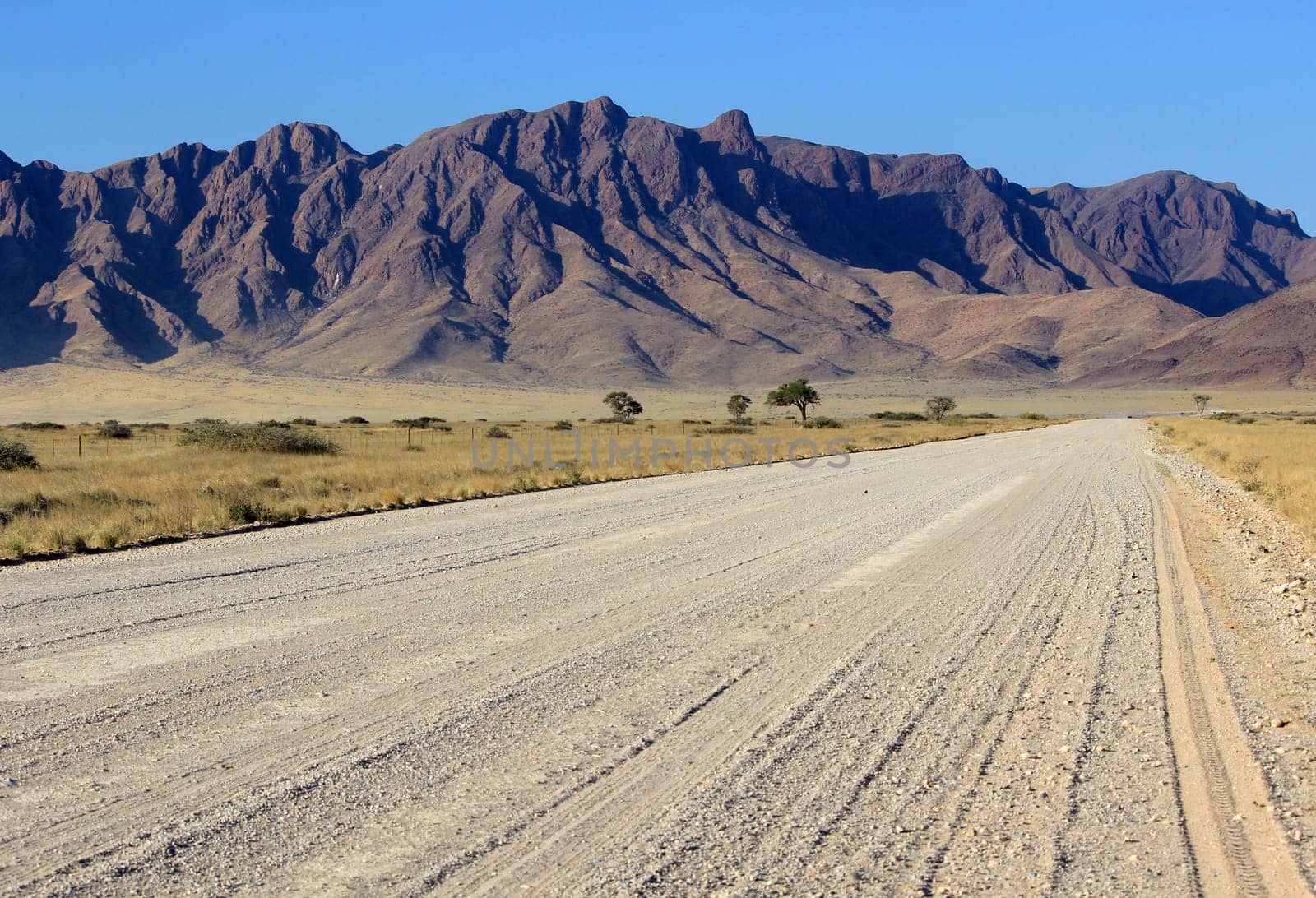Grassy Savannah with mountains in background, Namib desert road to Sesriem, Namibia.