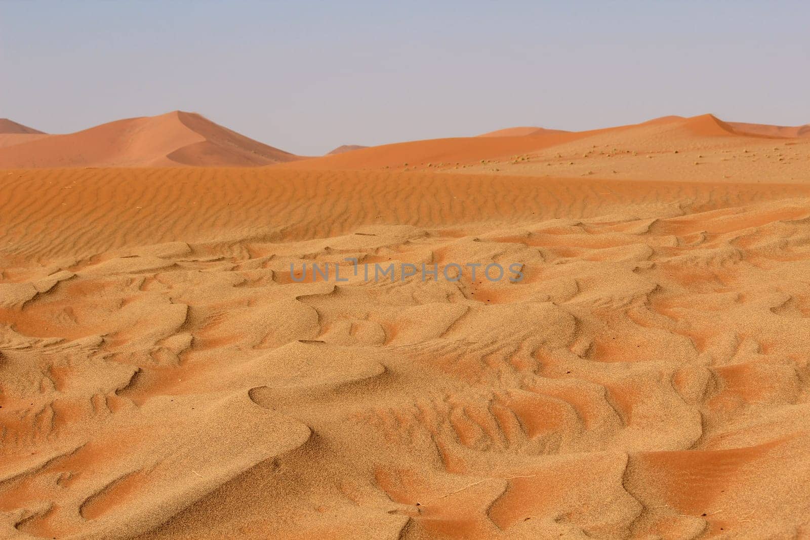 Sossusvlei sand dunes landscape in the Nanib desert near Sesriem, Namibia