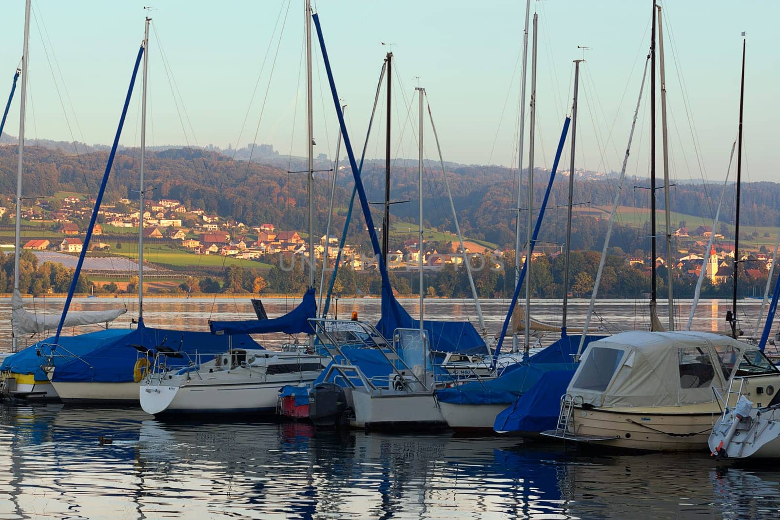 Beinwil marina in the evening light