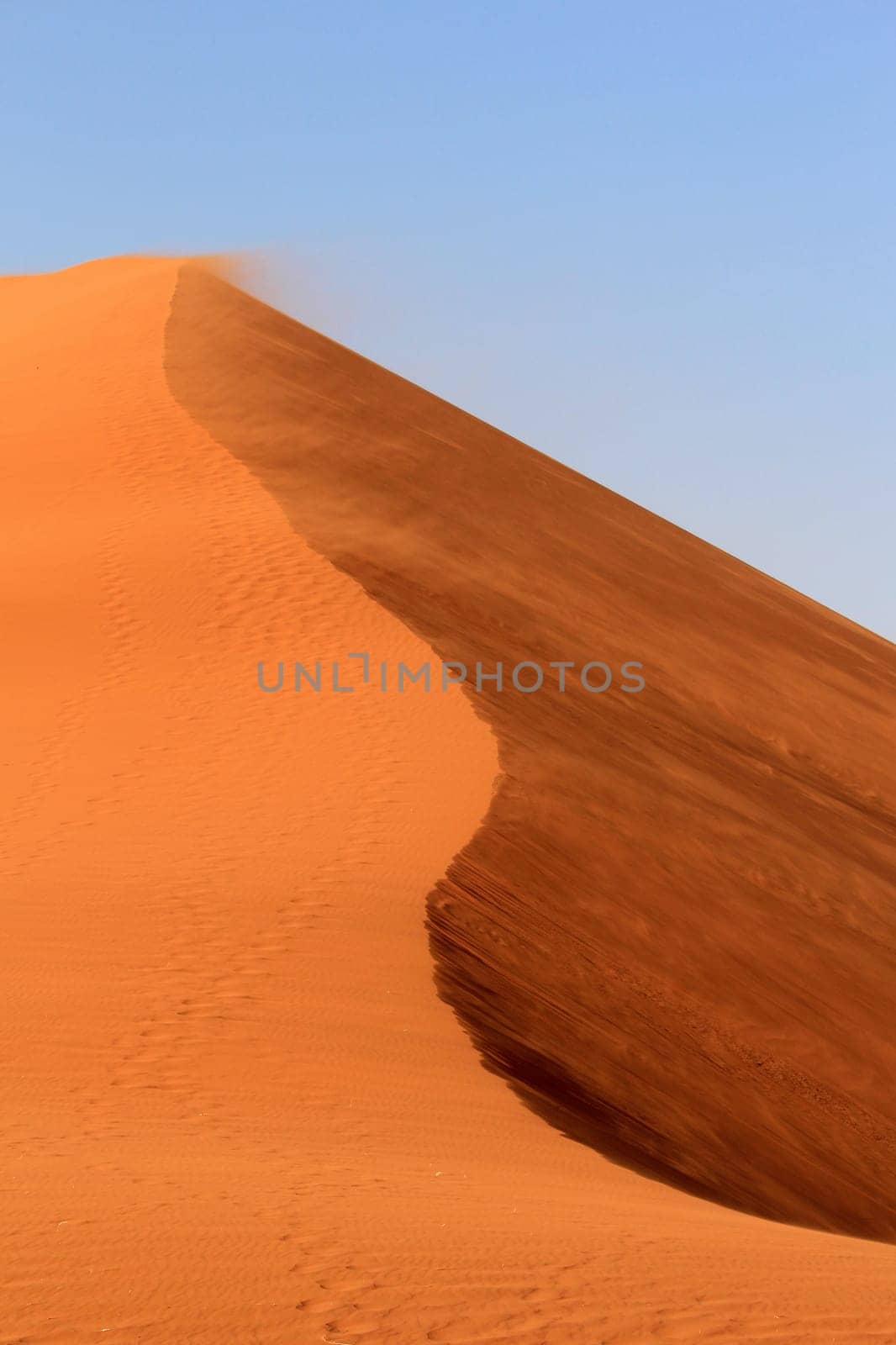 Sossusvlei sand dunes landscape in the Nanib desert near Sesriem, Namibia