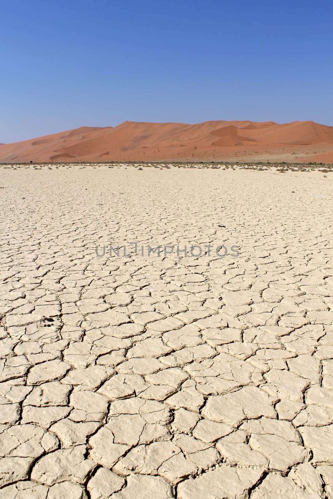 Sossusvlei sand dunes landscape in the Nanib desert near Sesriem, Namibia