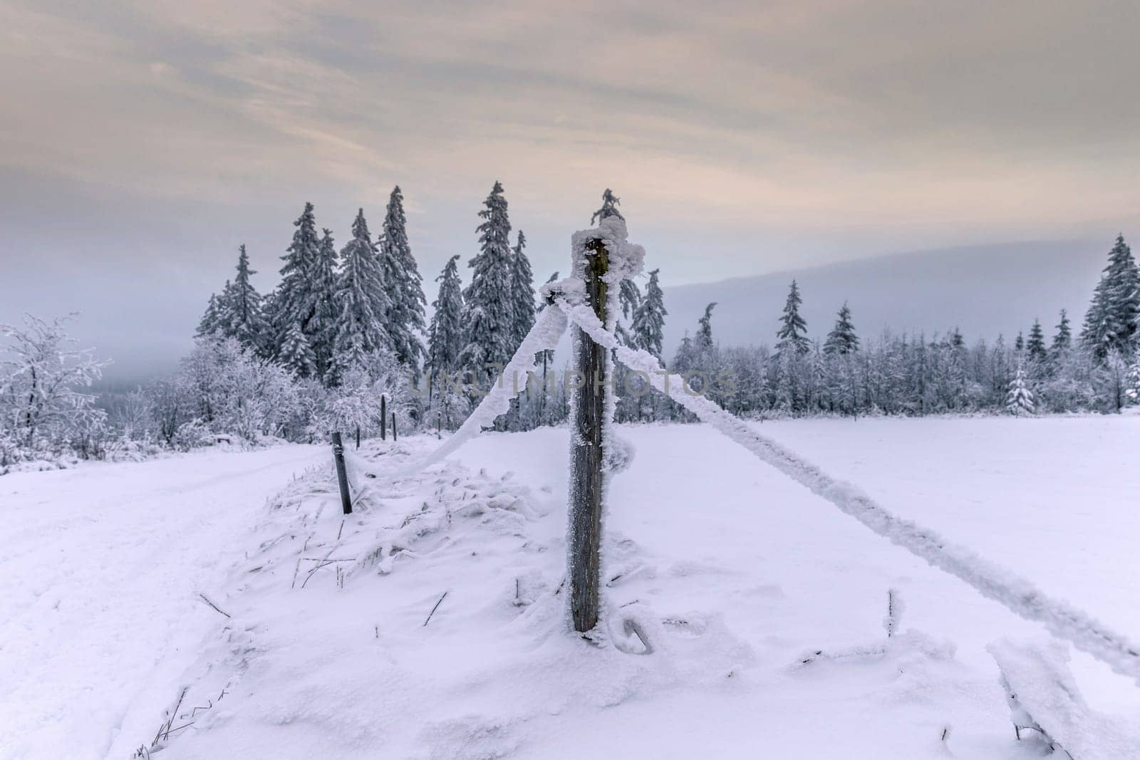 Rennsteig in winter