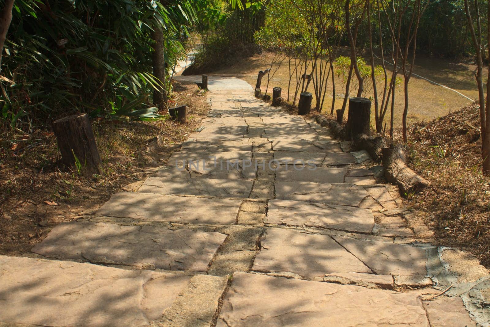 Stairway to jungle, in national park, Thailand