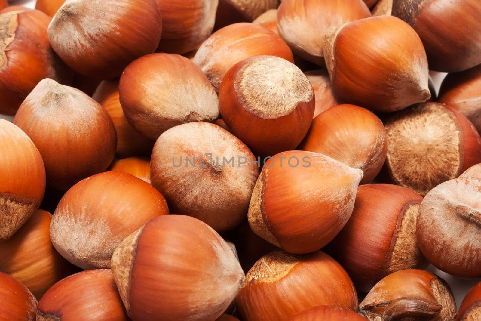 Heap of hazelnuts, filbert nuts making background