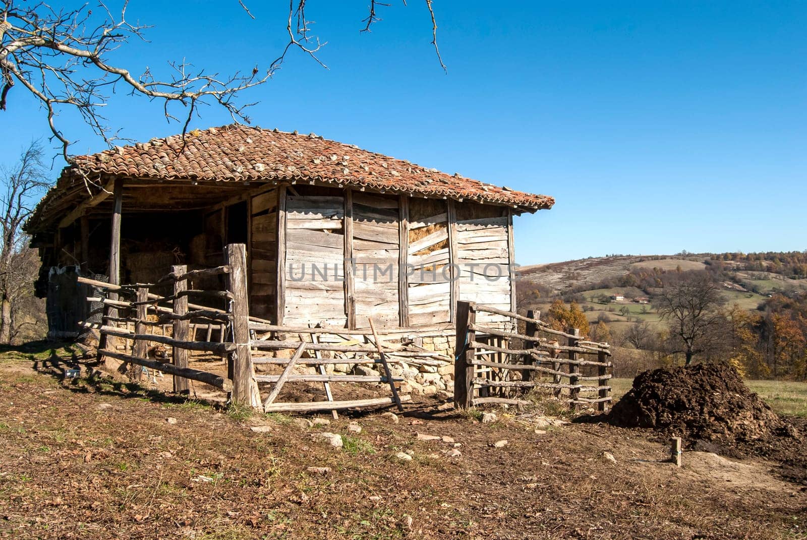 Old rural house with wood leaning against the wall
