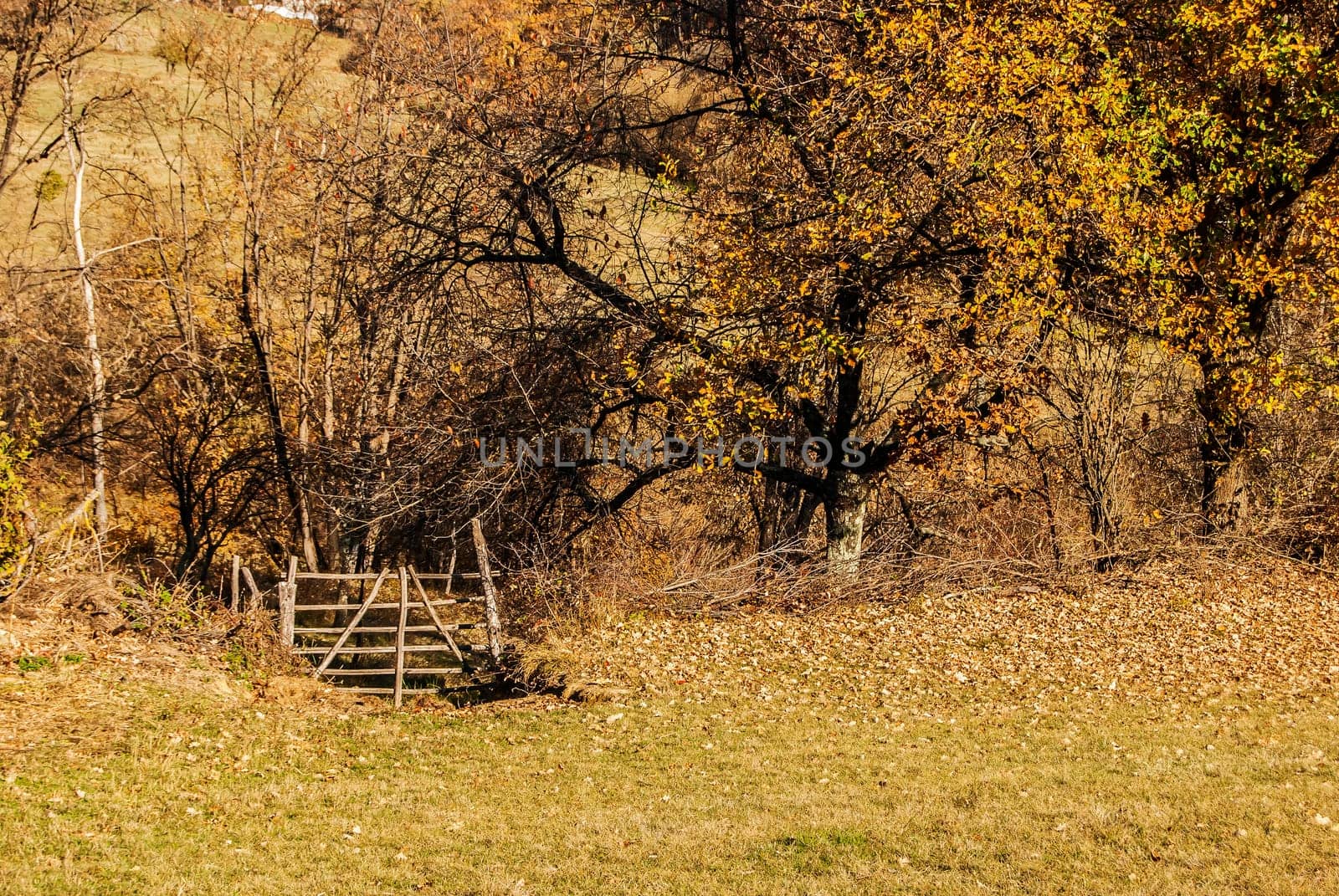 Wooden fence on a mountain farm in autumn day