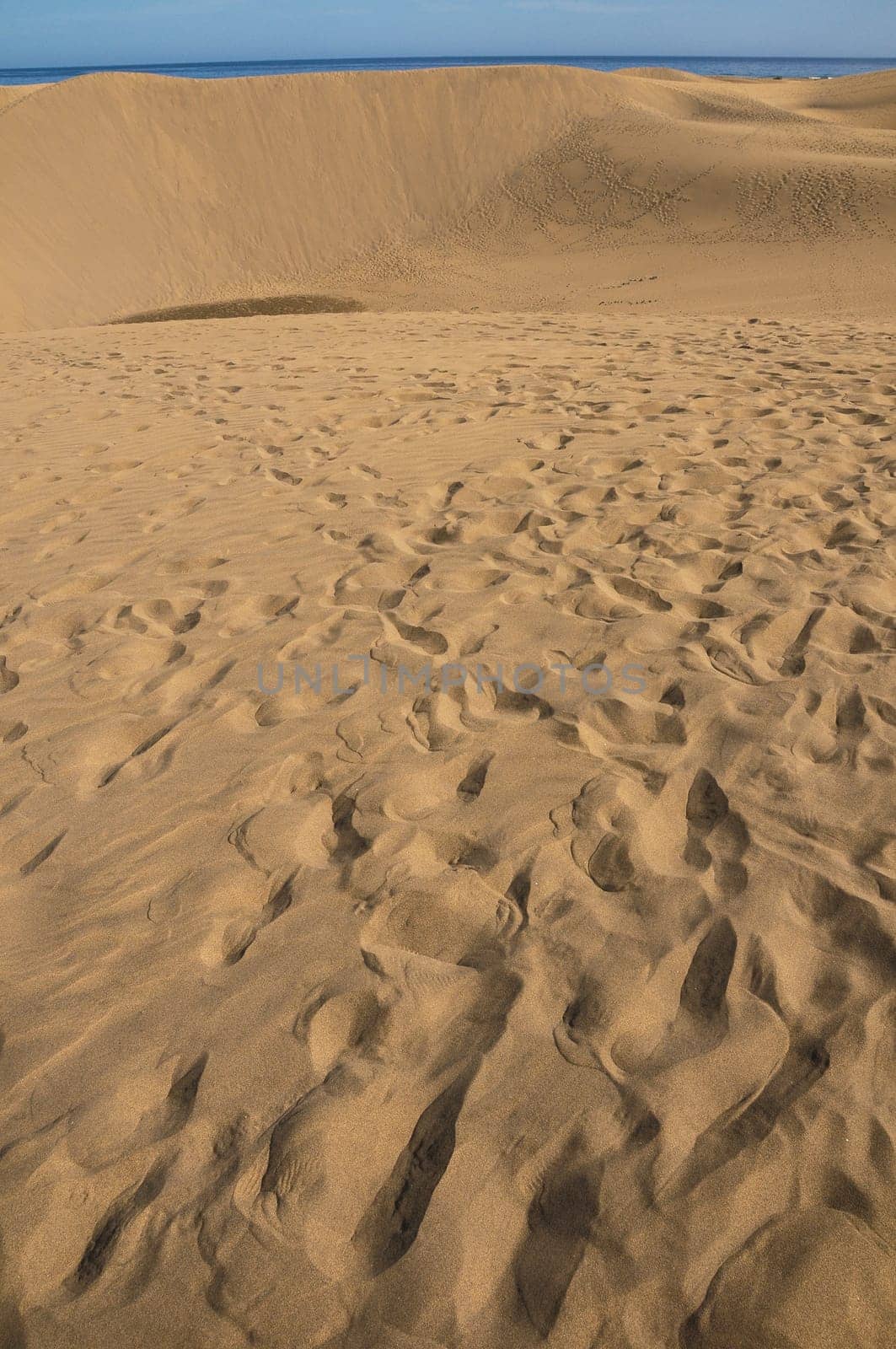 Texture Sand Dune Desert in Gran Canaria Island Spain