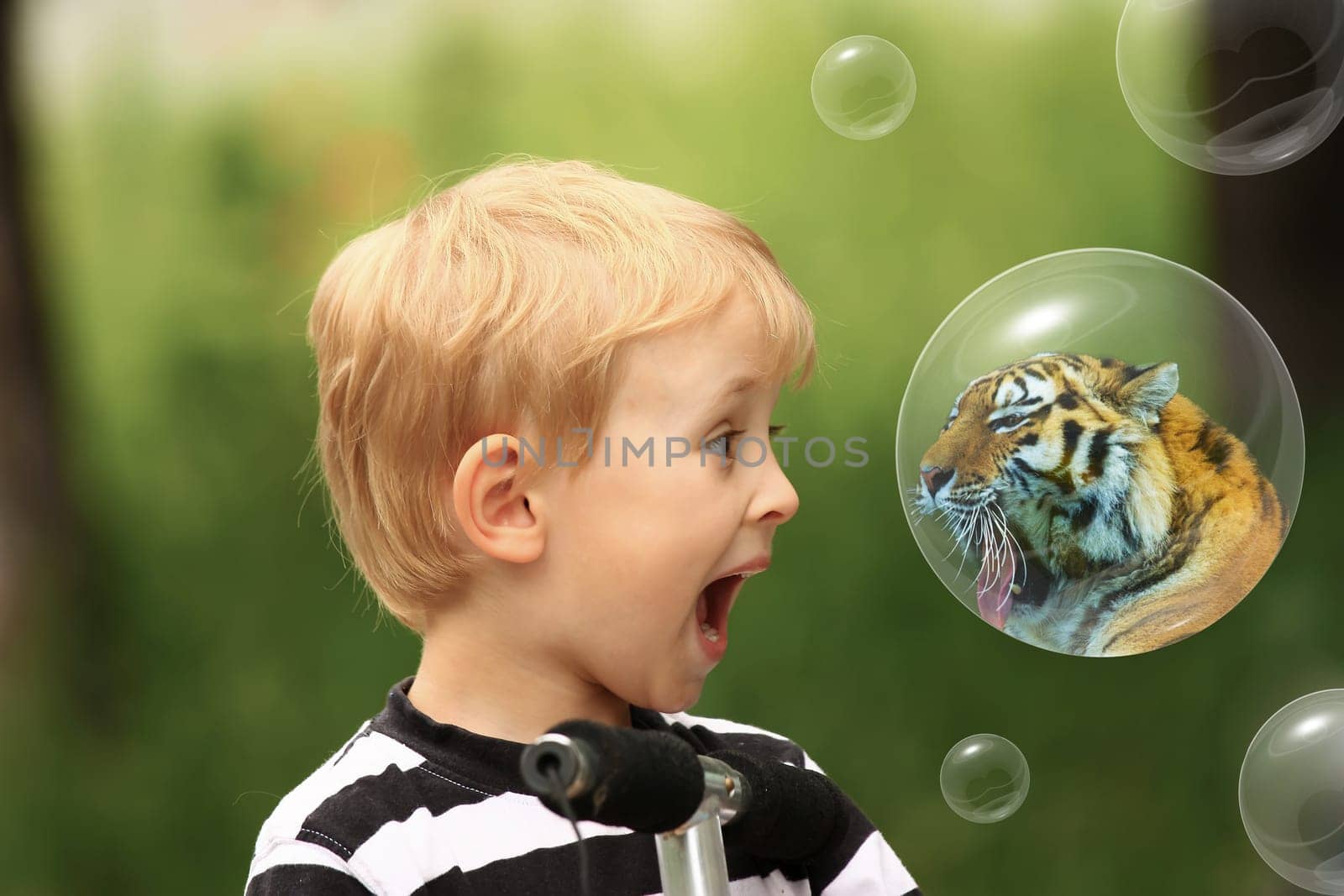 The blond guy surprised by a tiger in a bubble. Other bubbles are on a green background.