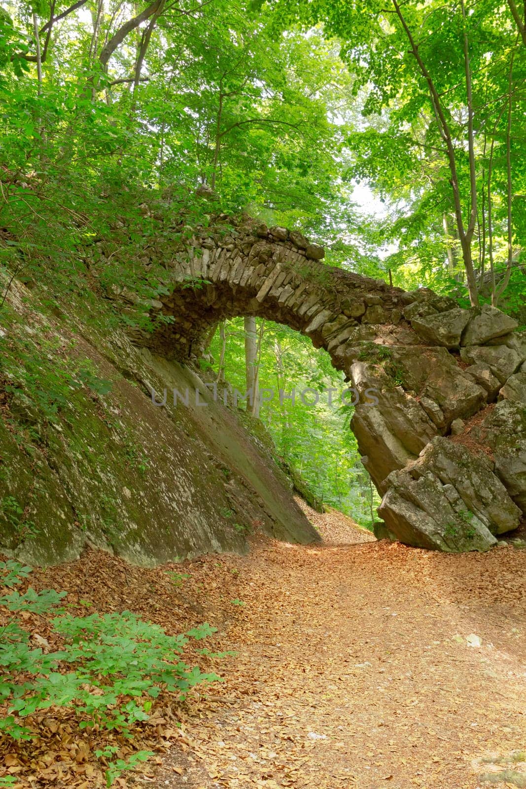 Old stone bridge in the woods. Filmed here Italian film