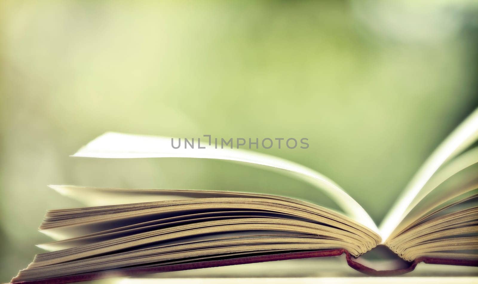 Close up on open book pages